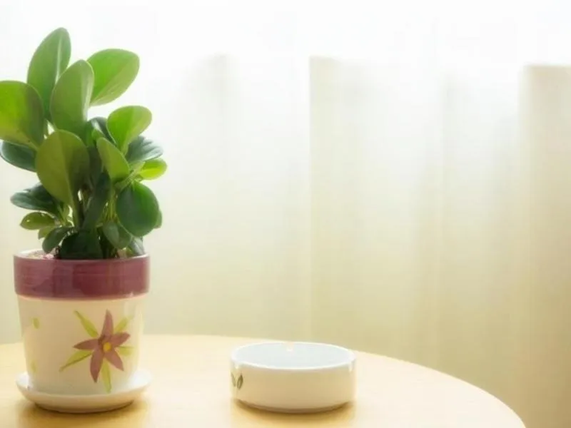 GreenTree Inn Nantong Qidong Binhai Industrial Park Nanhai RoadExpress Hotel