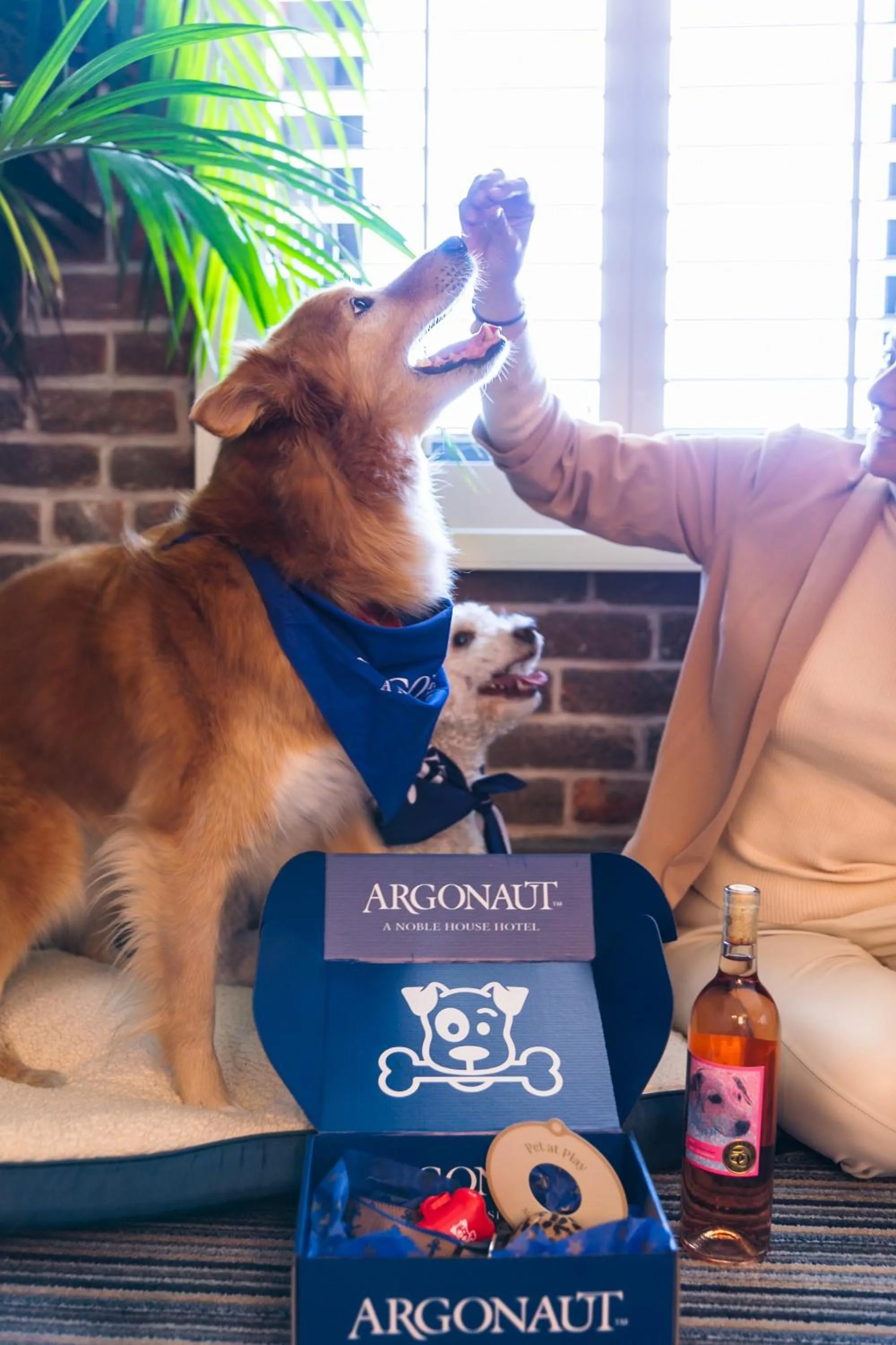 Pets in Argonaut Hotel, a Noble House Hotel