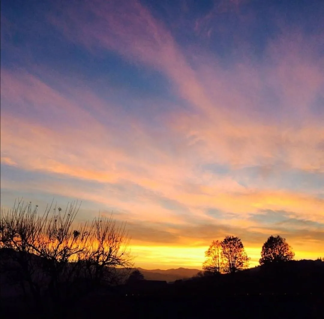 Natural landscape in Ca' del Passero b&b