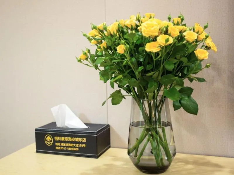 GreenTree Inn NantongHaian Development Zone Chengdong Town Express Hotel