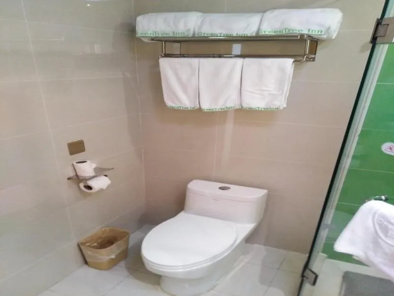 GreenTree Inn Shanghai Jinshan District Wanda Plaza Longhao Road Express Hotel