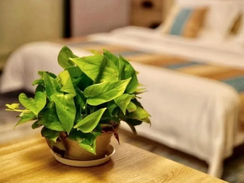 Bed in VX Changzhou Jintan District Red Star Macalline Hotel