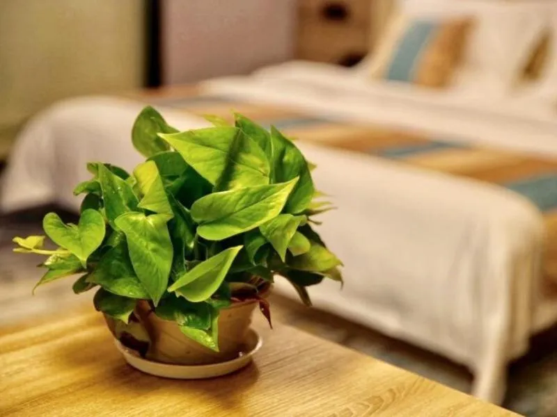 VX Changzhou Jintan District Red Star Macalline Hotel