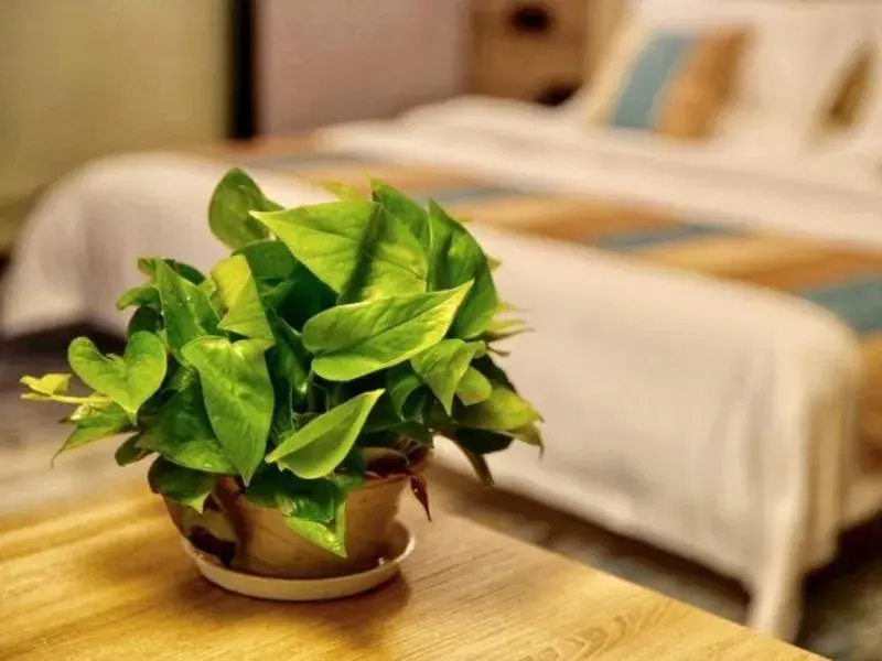 VX Changzhou Jintan District Red Star Macalline Hotel VX Changzhou Jintan District Red Star Macalline Hotel