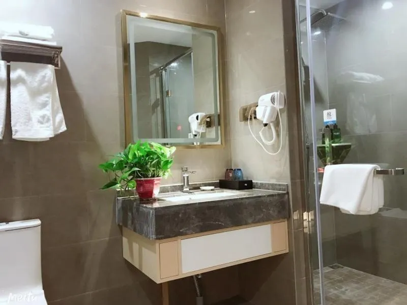 VX Hefei Lianhua Road Hotel