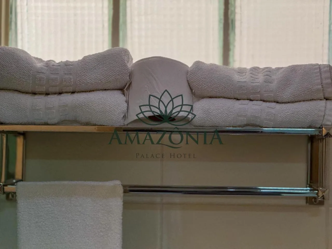 Bathroom in Amazônia Palace Hotel