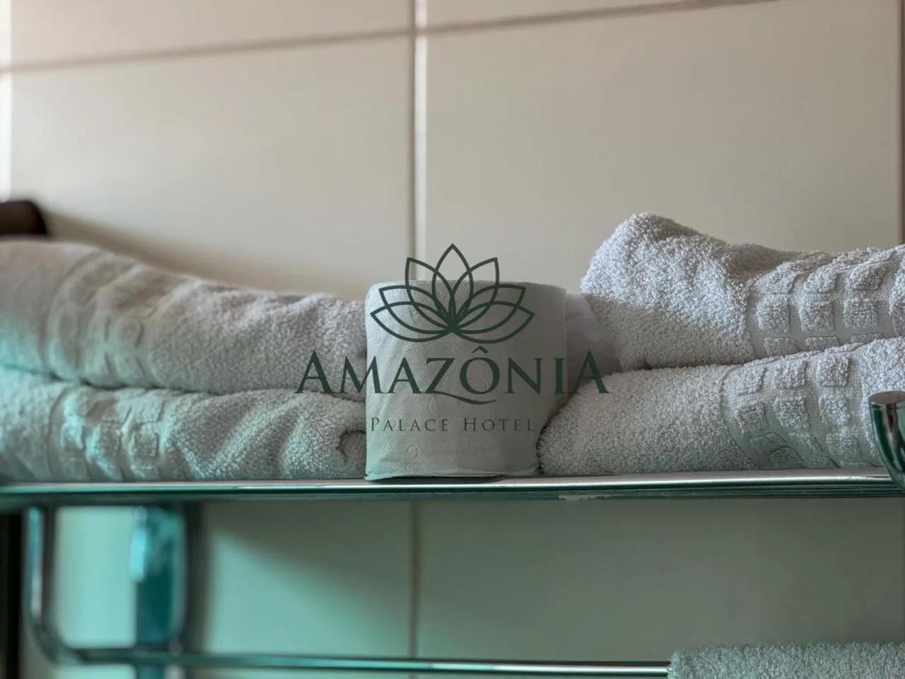 Bathroom in Amazônia Palace Hotel