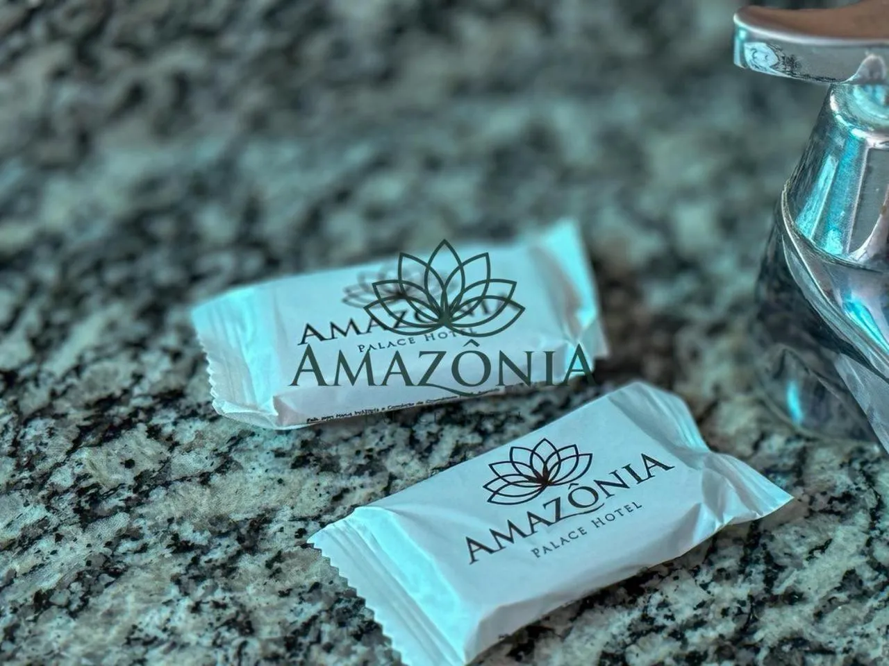 Logo/Certificate/Sign in Amazônia Palace Hotel