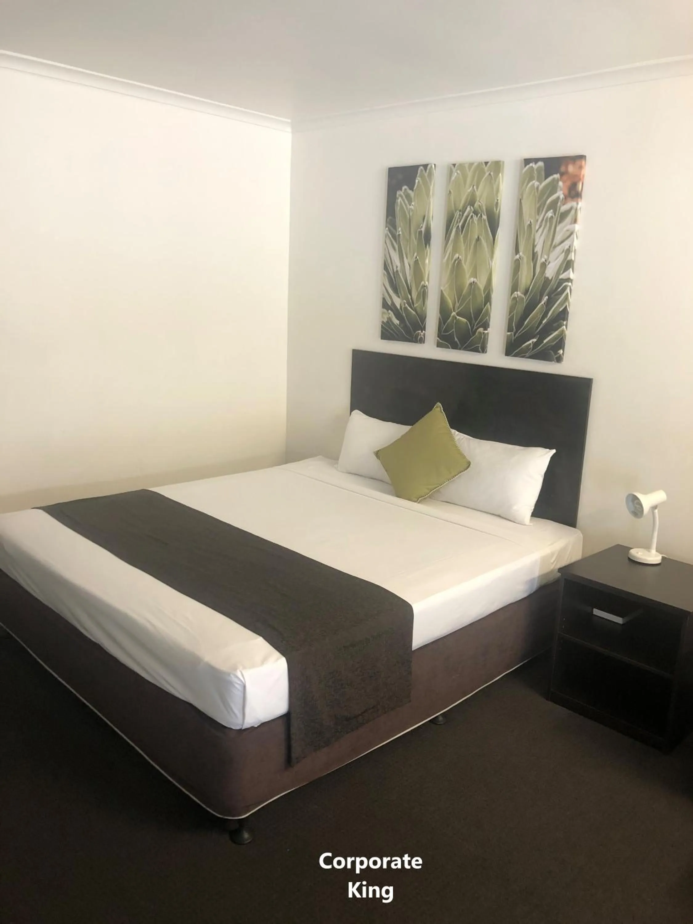 Bed in Coral Sands Motel