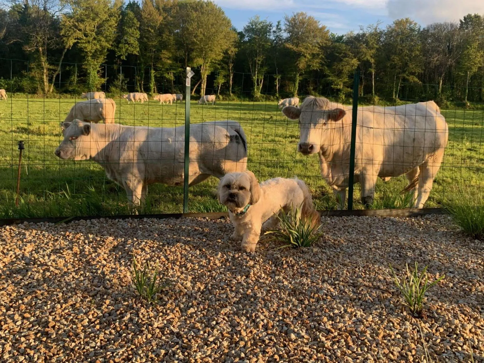 Property building in BRIT HOTEL Lannion-Perros Guirec