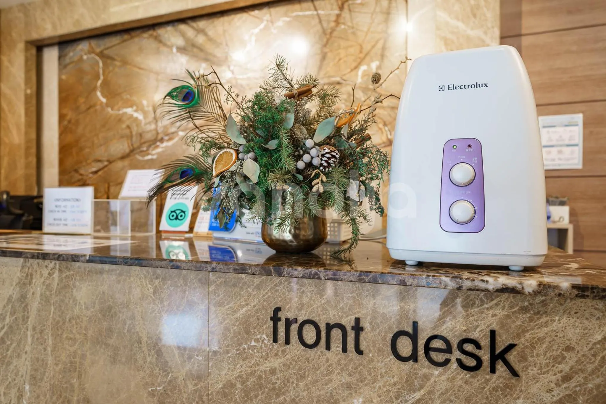 Lobby or reception in Lamer Hotel