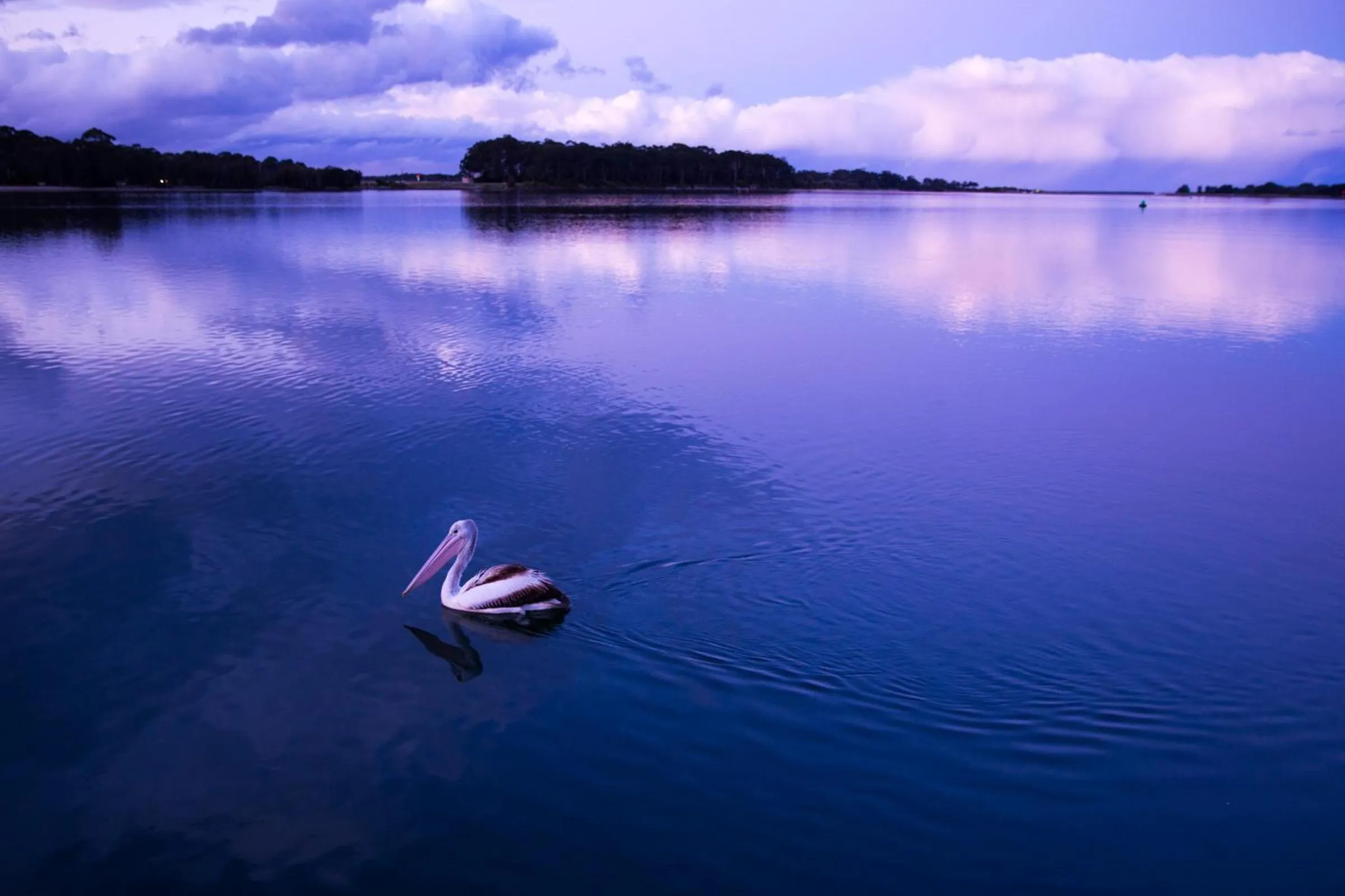 Natural landscape in The Seabird
