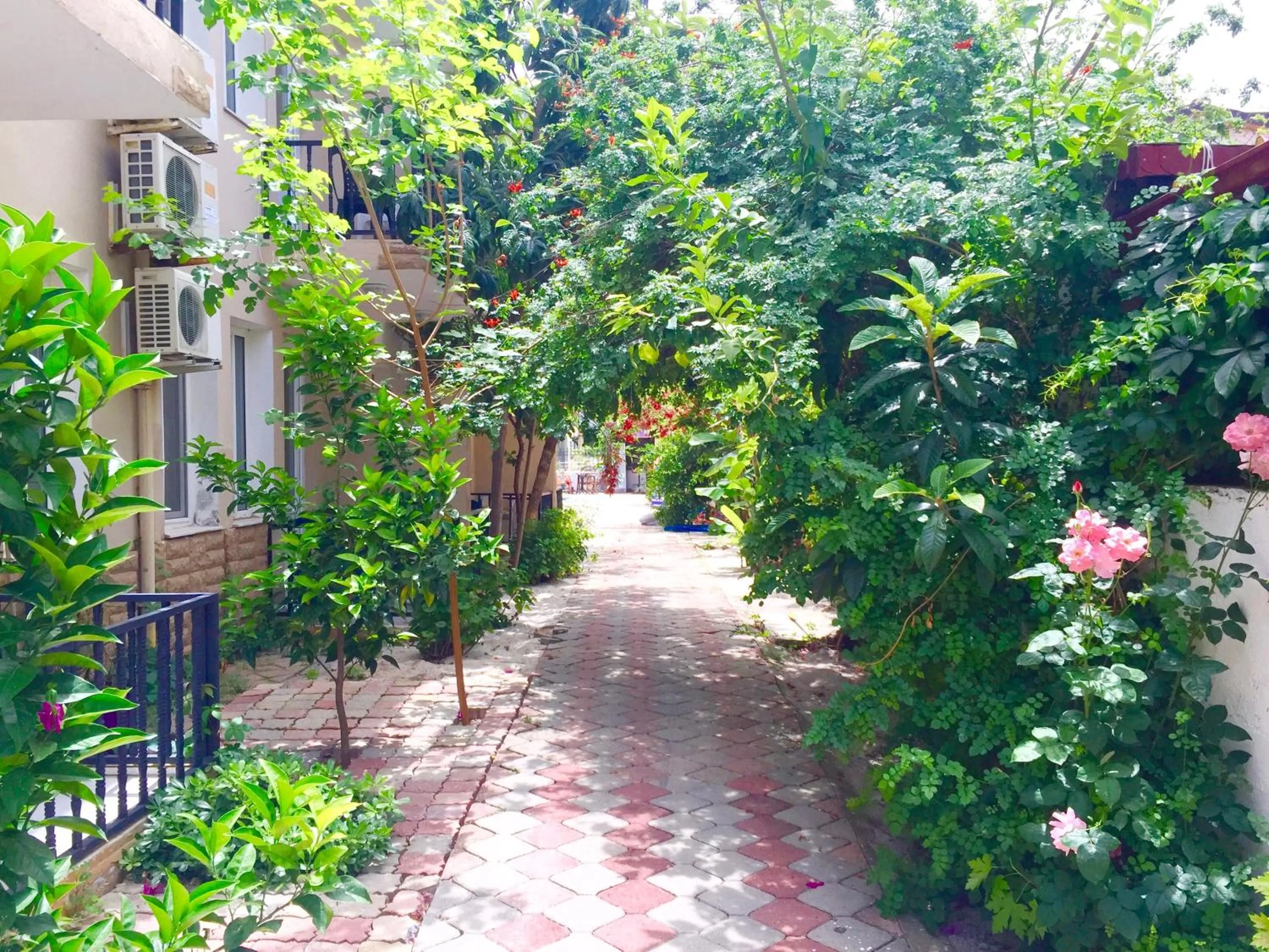 Garden in Dove Apart Hotel