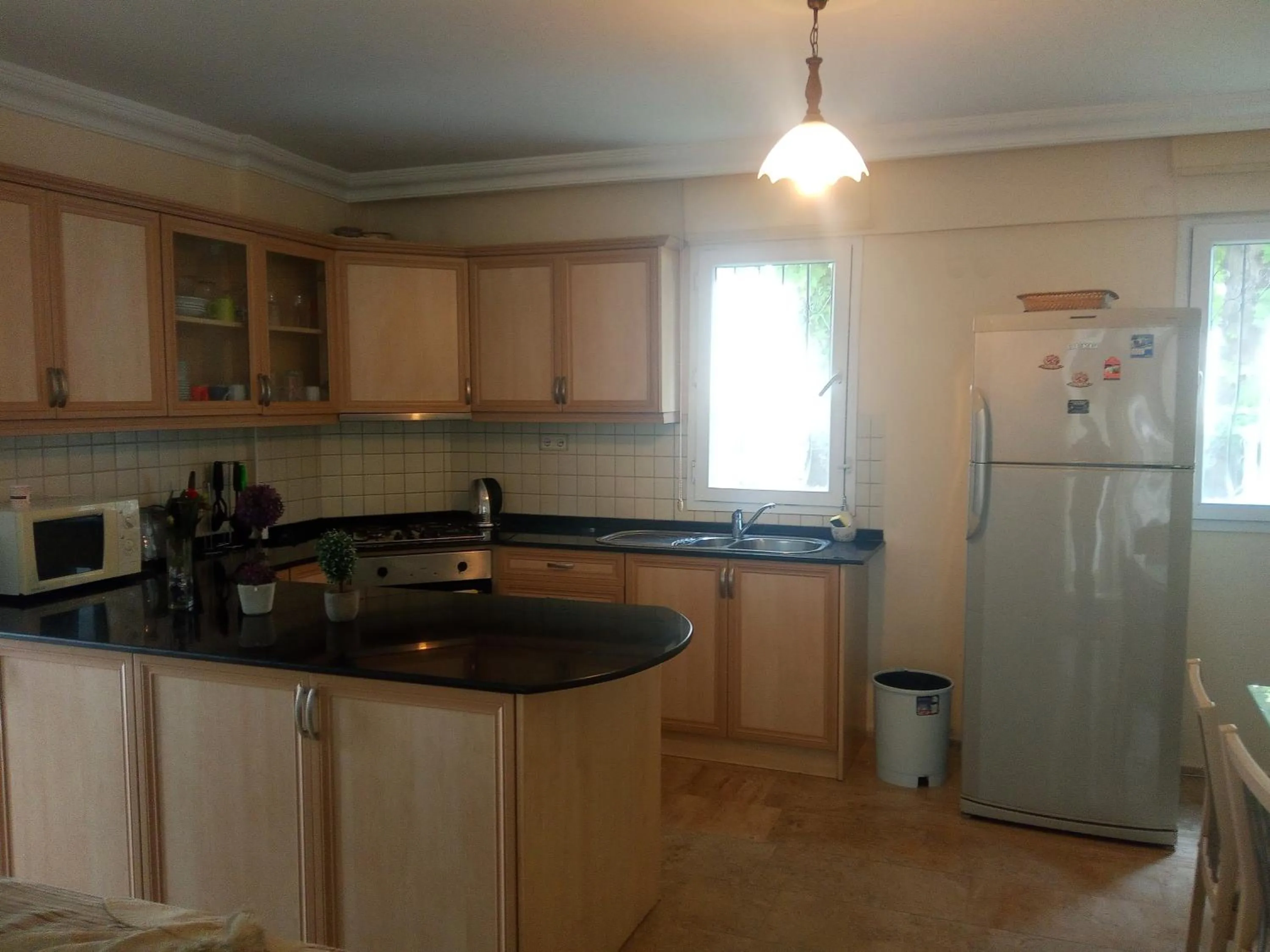 Kitchen or kitchenette in Dove Apart Hotel