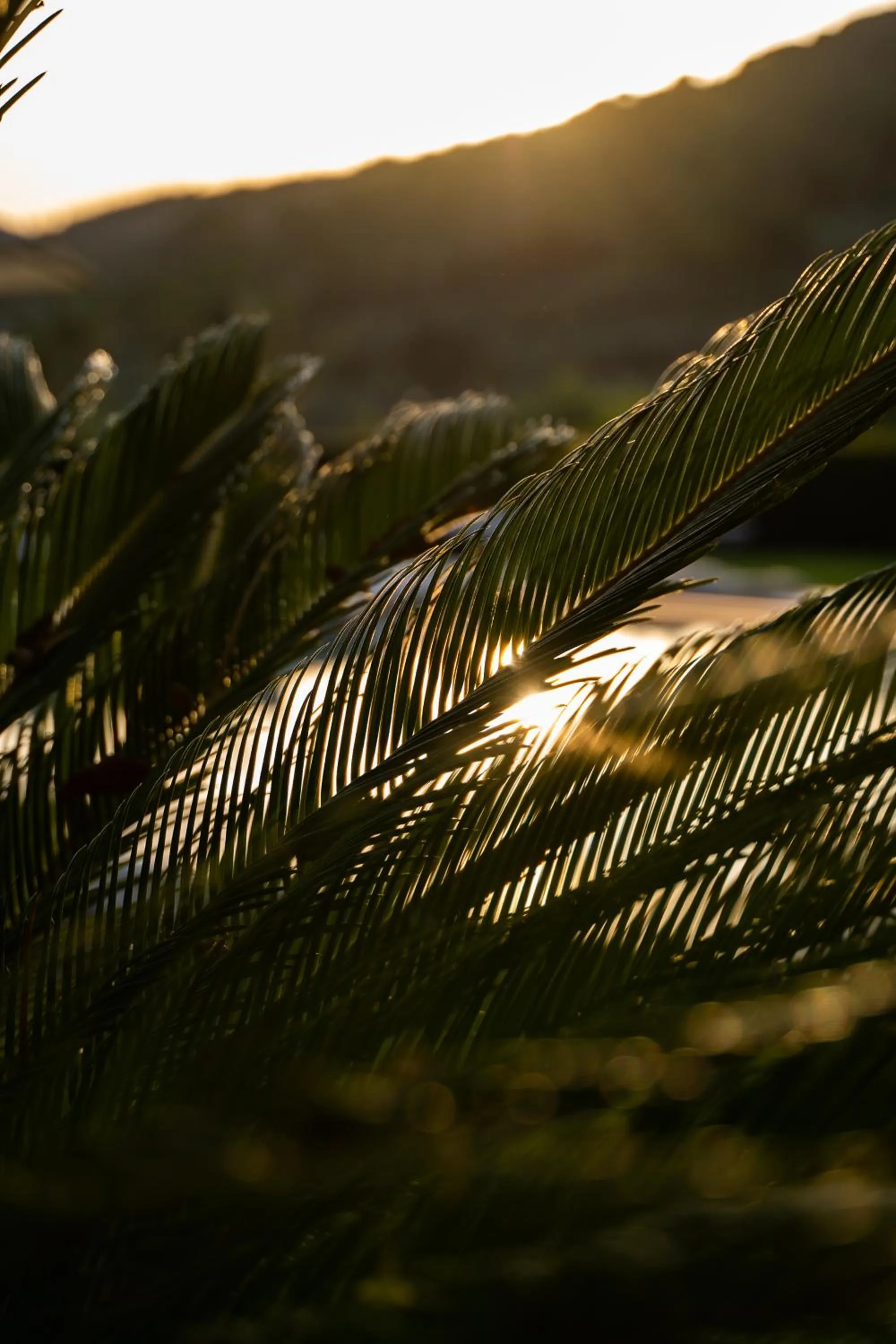 Swimming pool in Borgo I Vicelli Adults Only Relais