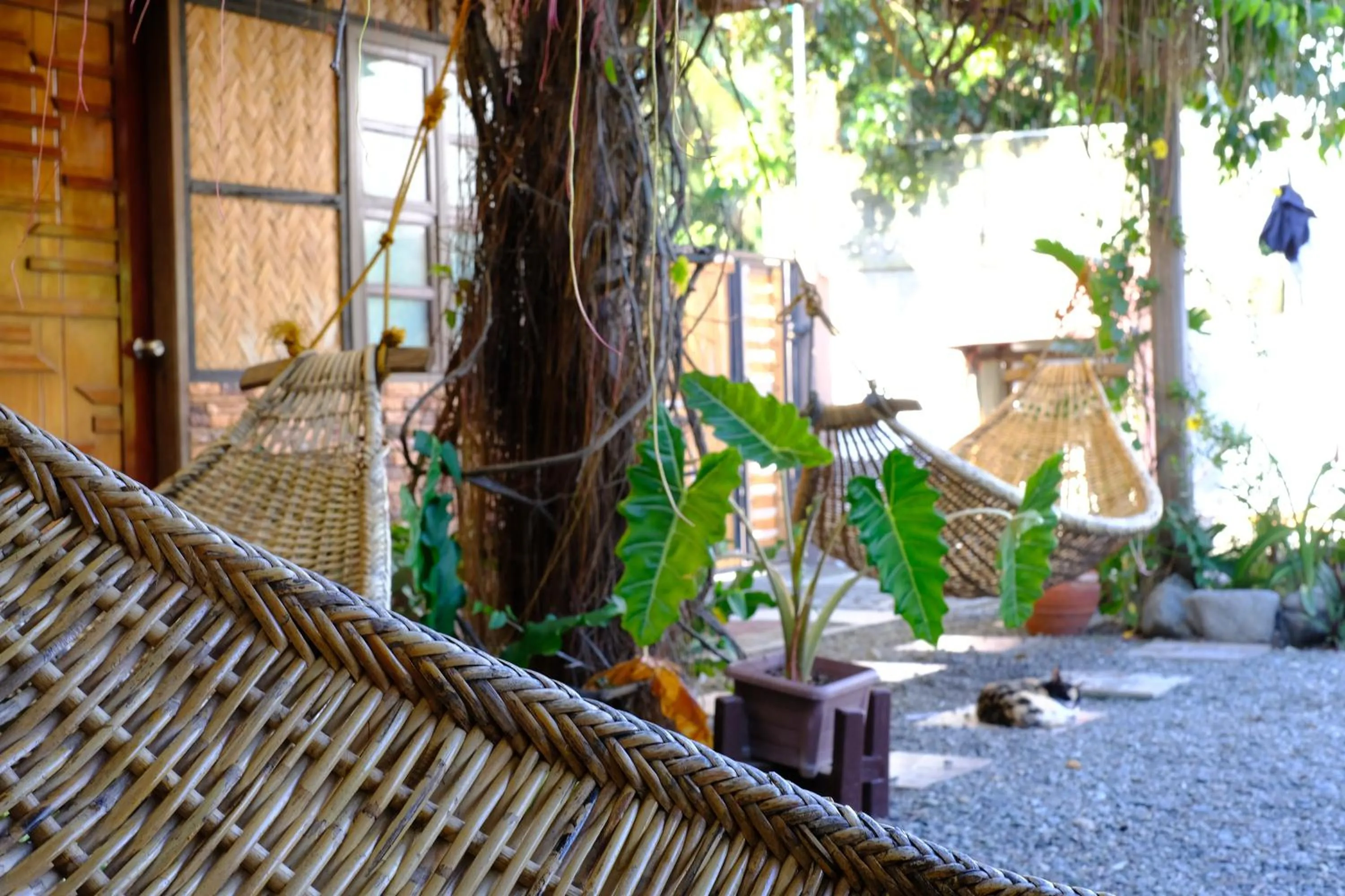 Patio in Pacific Waves Inn (Annex)