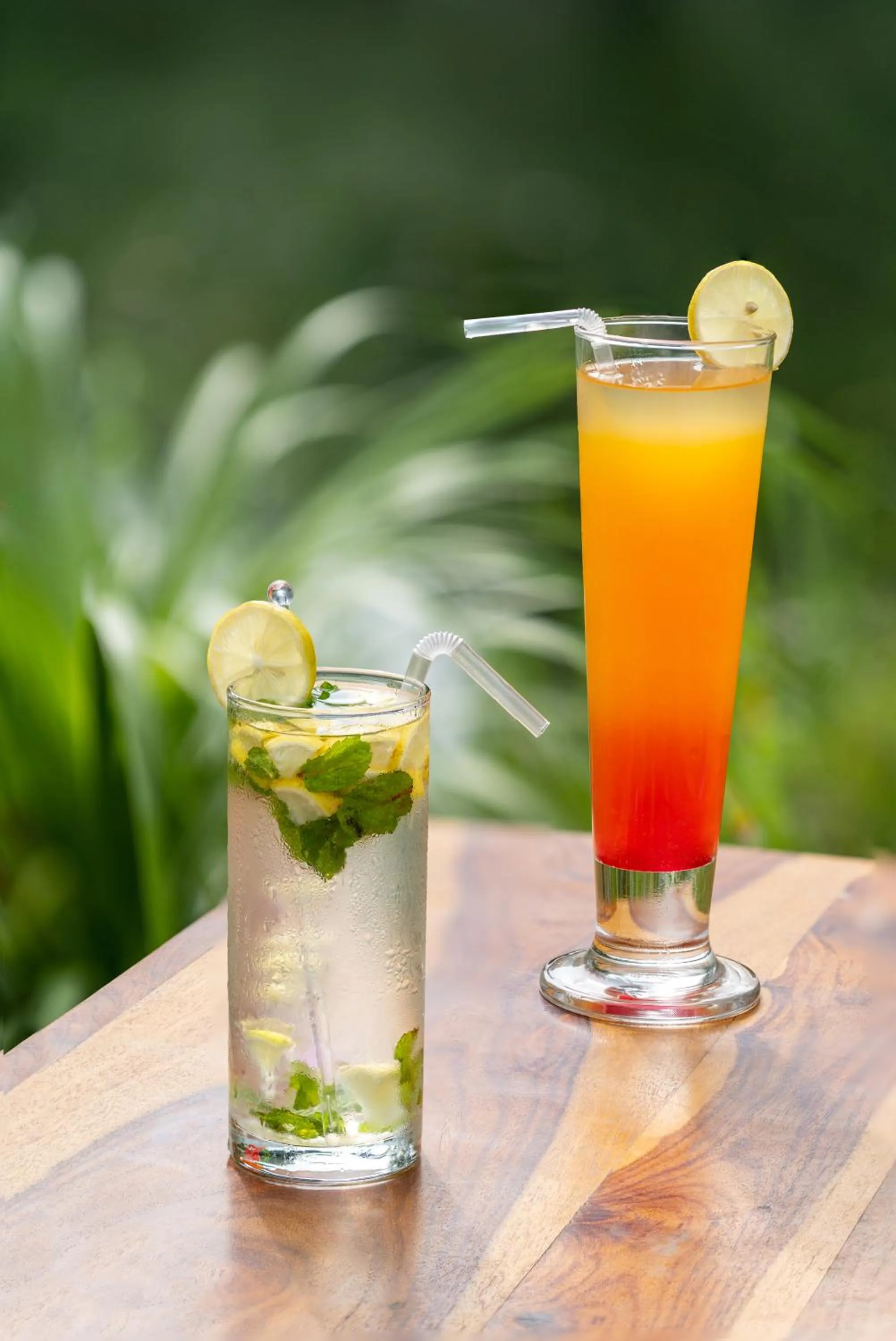 Day in Aranya Vilas - A Nature Resort