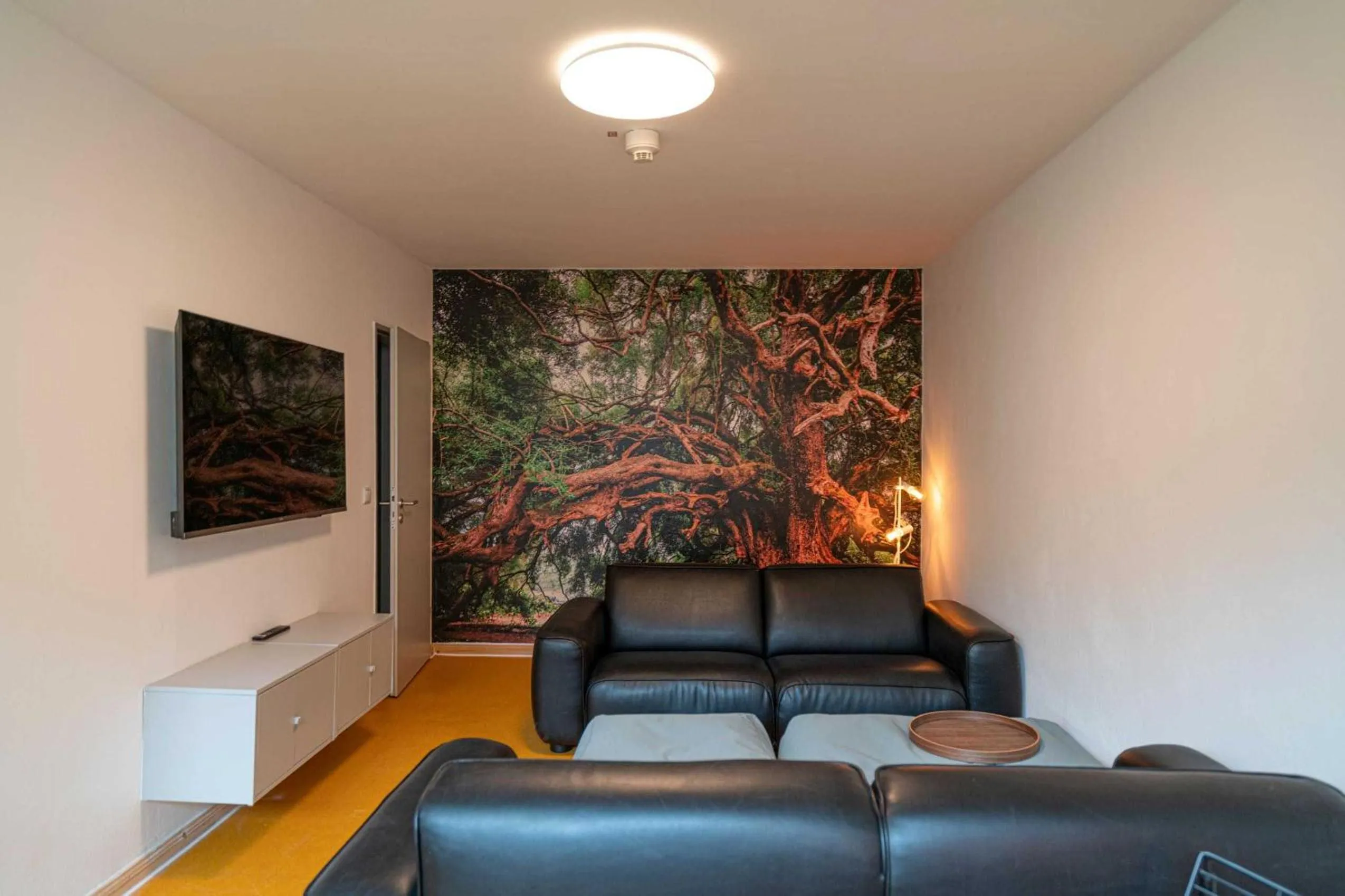 Communal lounge/ TV room in BIG MAMA Berlin