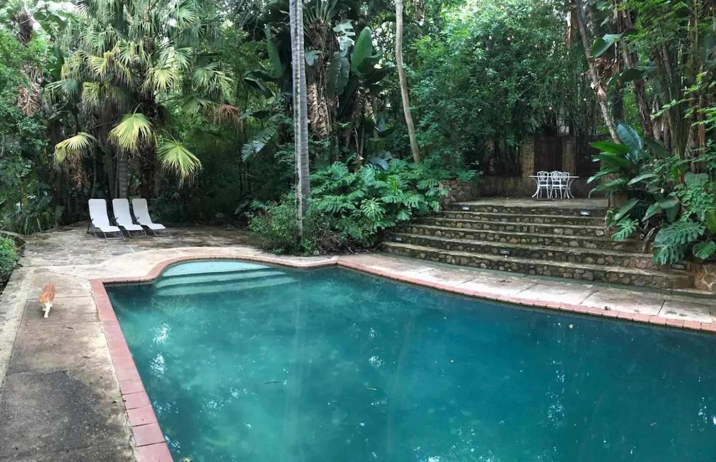 Swimming pool in Old Joe's Kaia