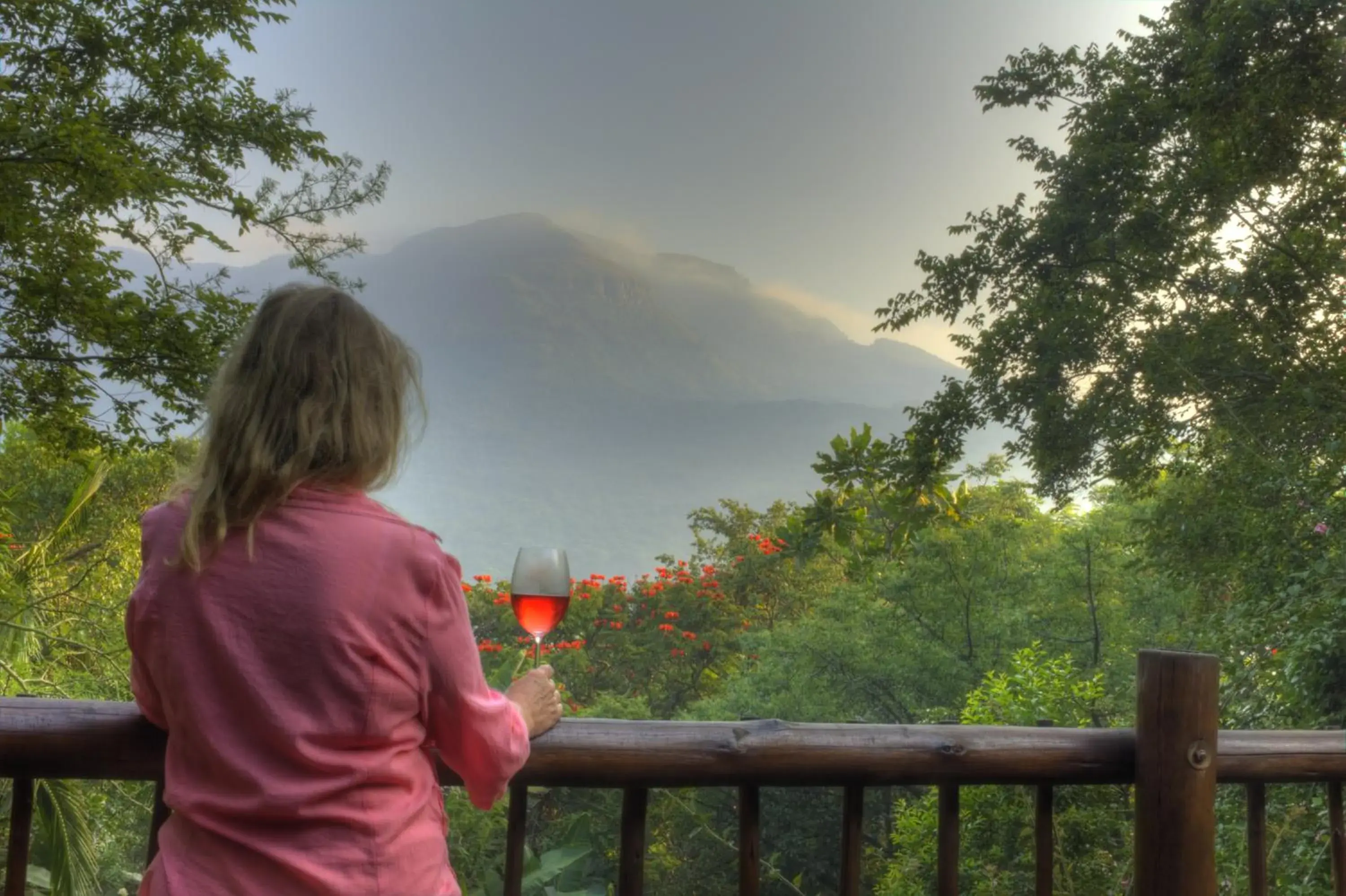 Old Joe's Kaia Old Joe's Kaia