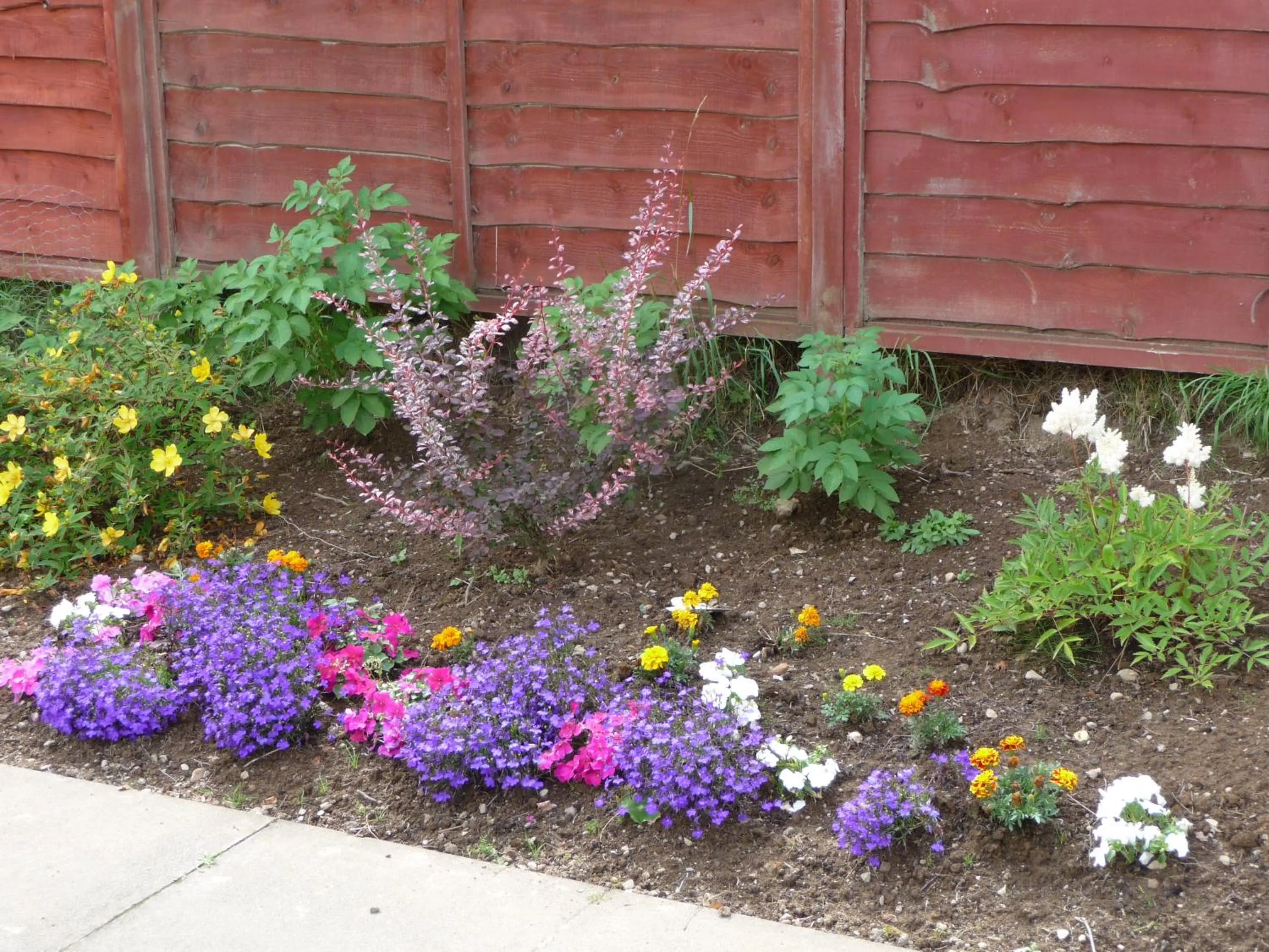 Ordieview Bed & Breakfast