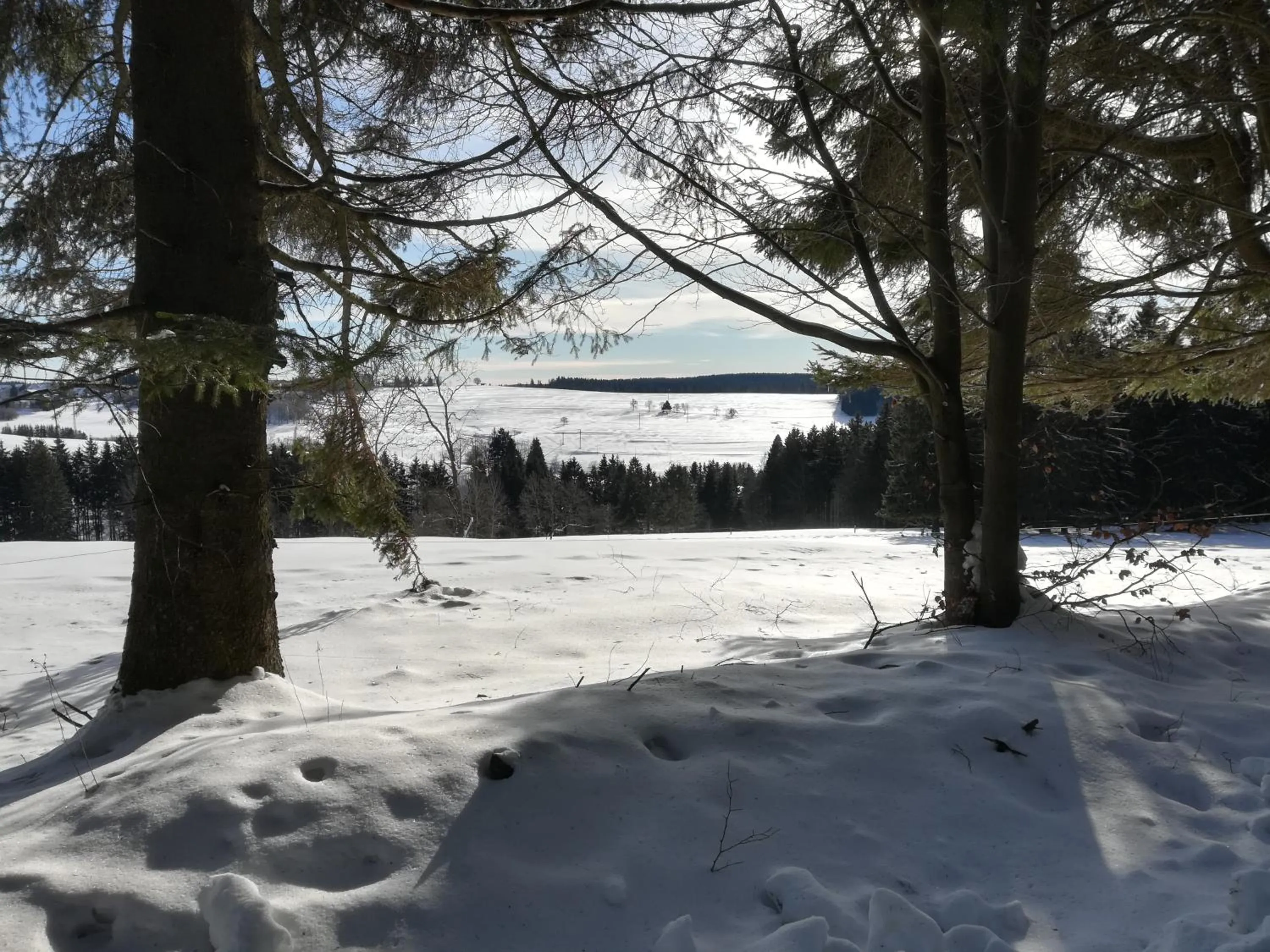 Natural landscape in Haus Linde Frauenwald am Rennsteig