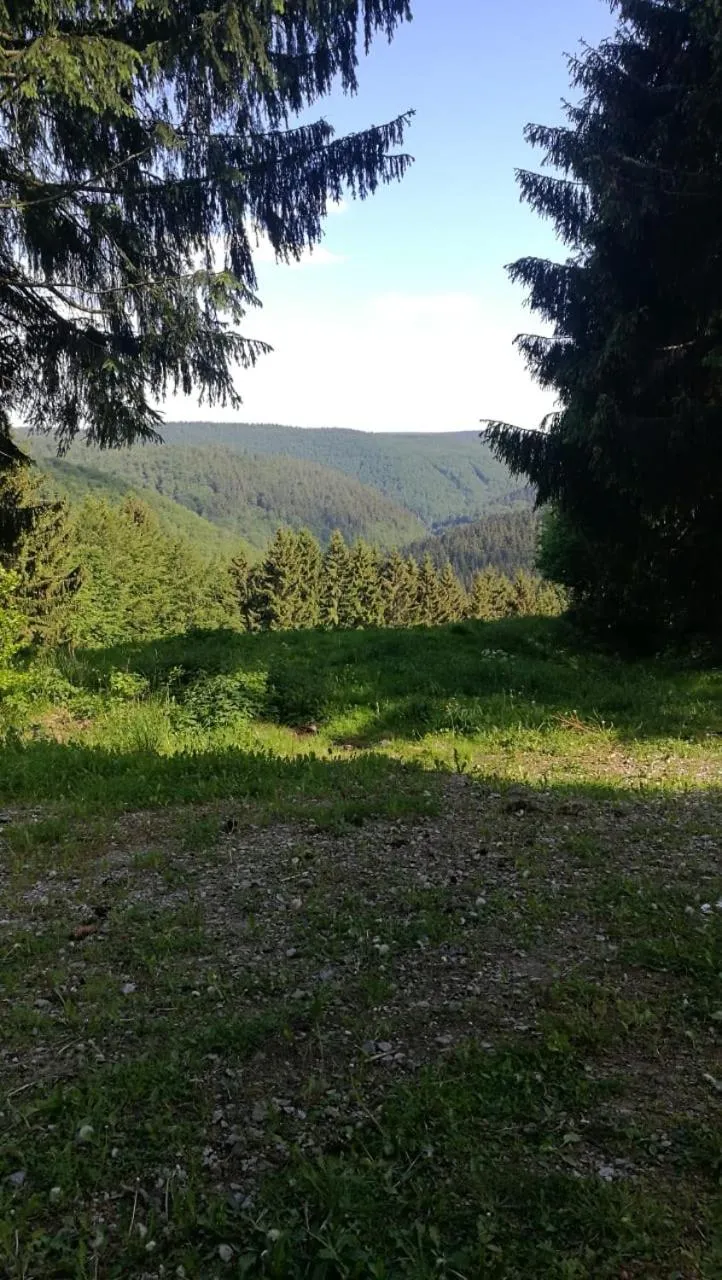Natural landscape in Haus Linde Frauenwald am Rennsteig