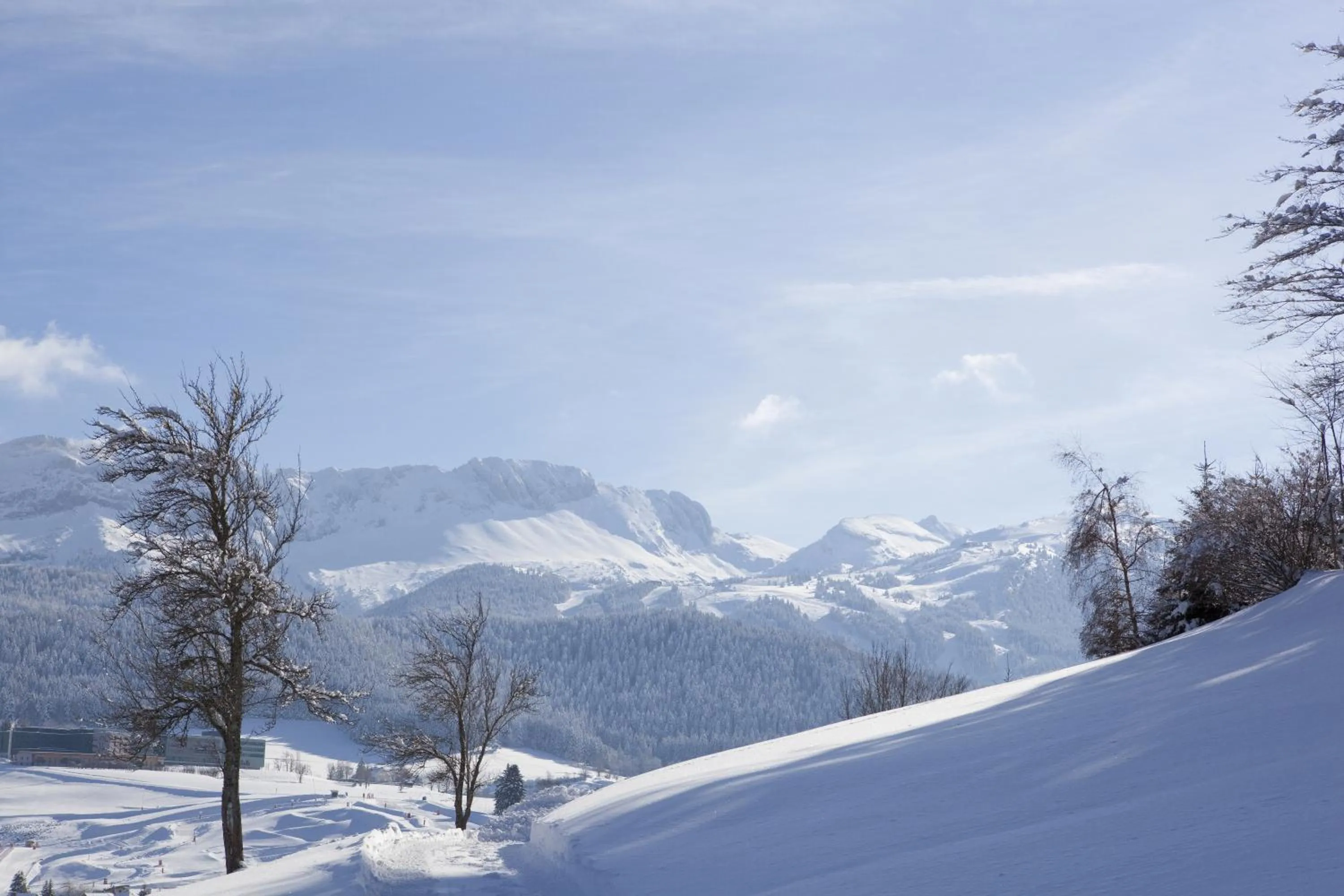 Winter in Hotel Christiania
