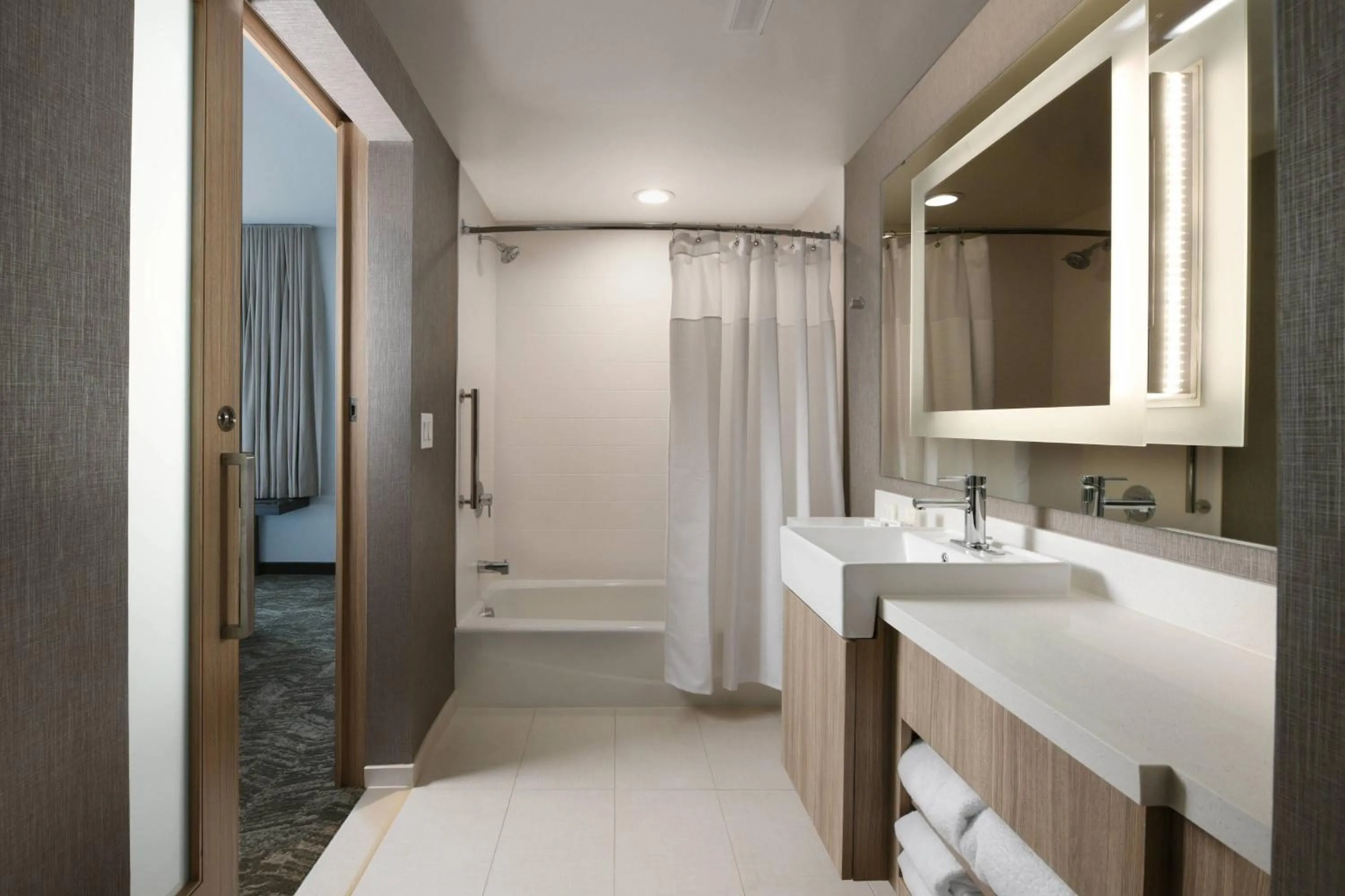 Bathroom in SpringHill Suites Dallas DFW Airport South/CentrePort