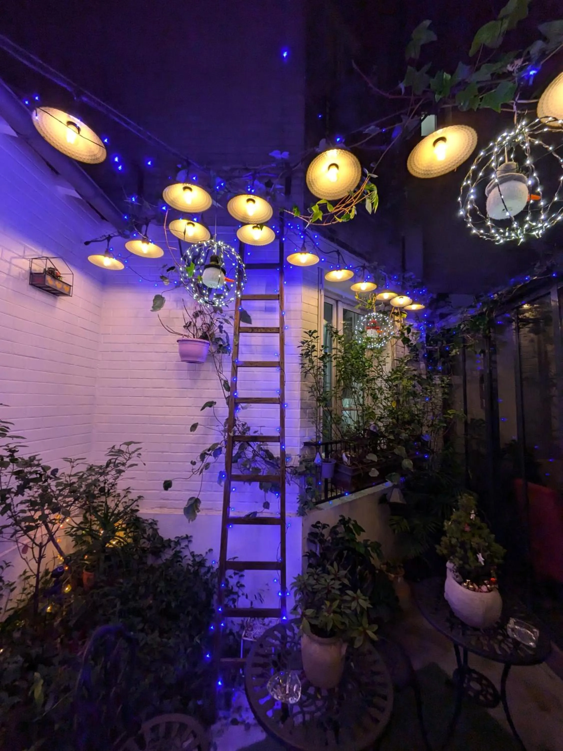 Balcony/Terrace in Virgina