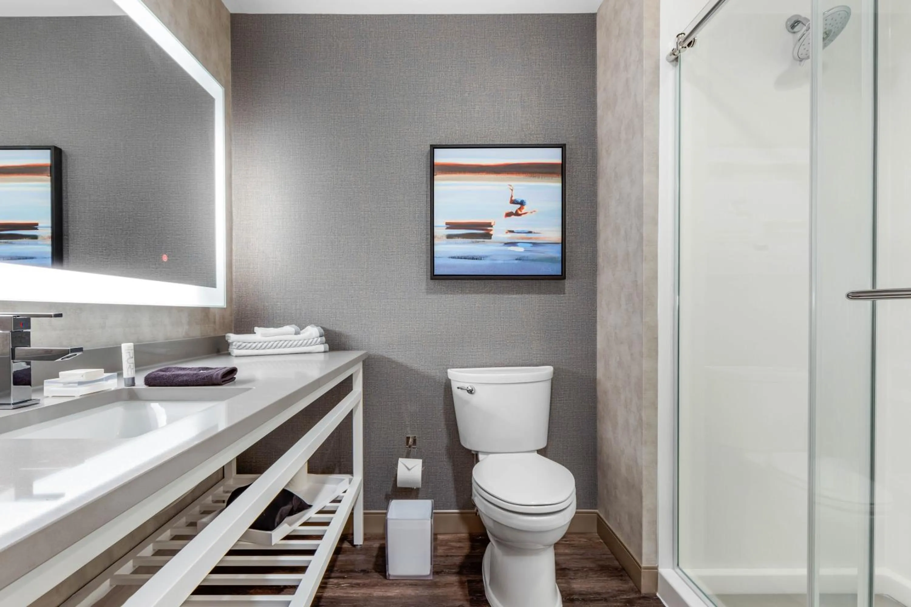 Bathroom in DoubleTree by Hilton Summerville Nexton