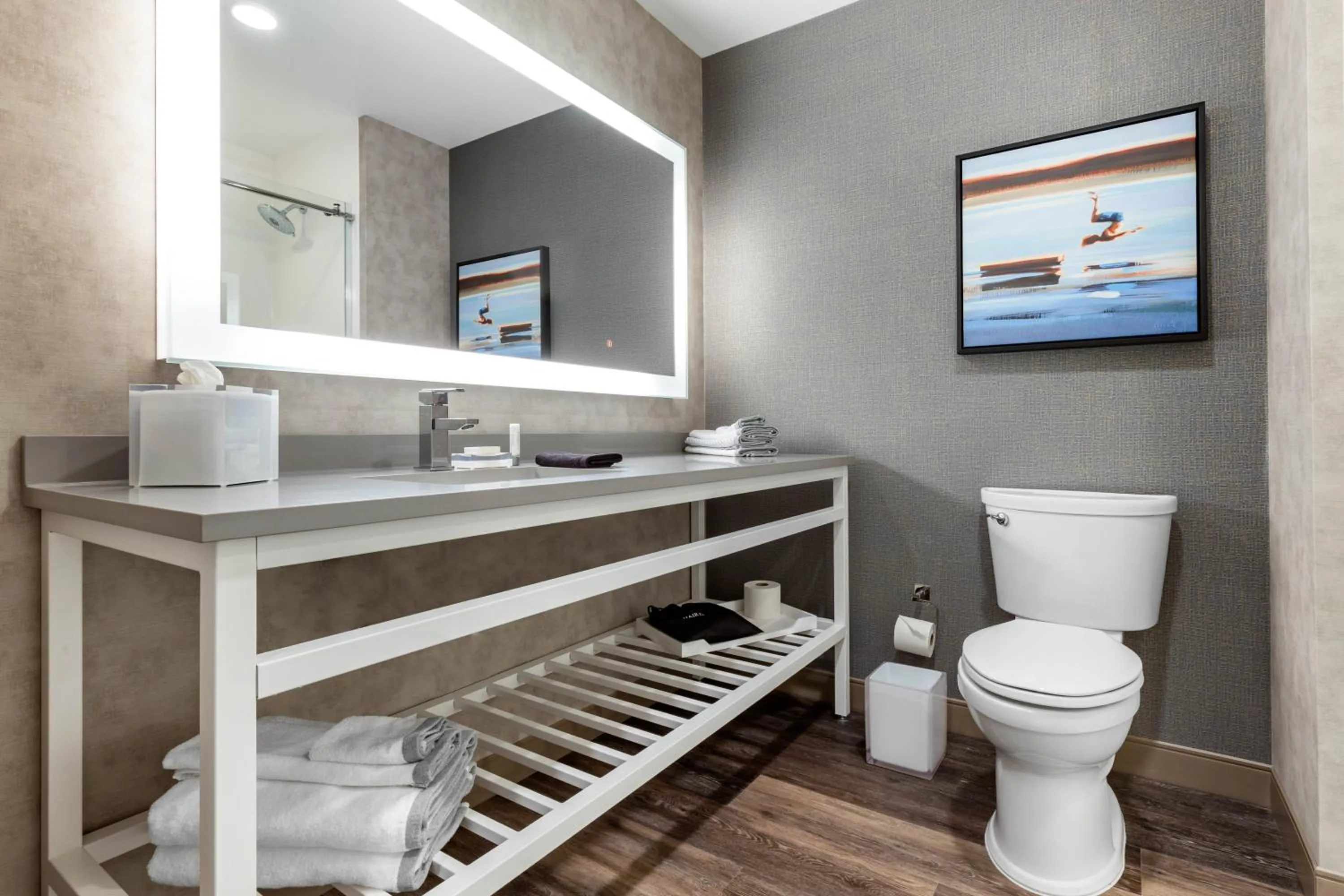 Bathroom in DoubleTree by Hilton Summerville Nexton