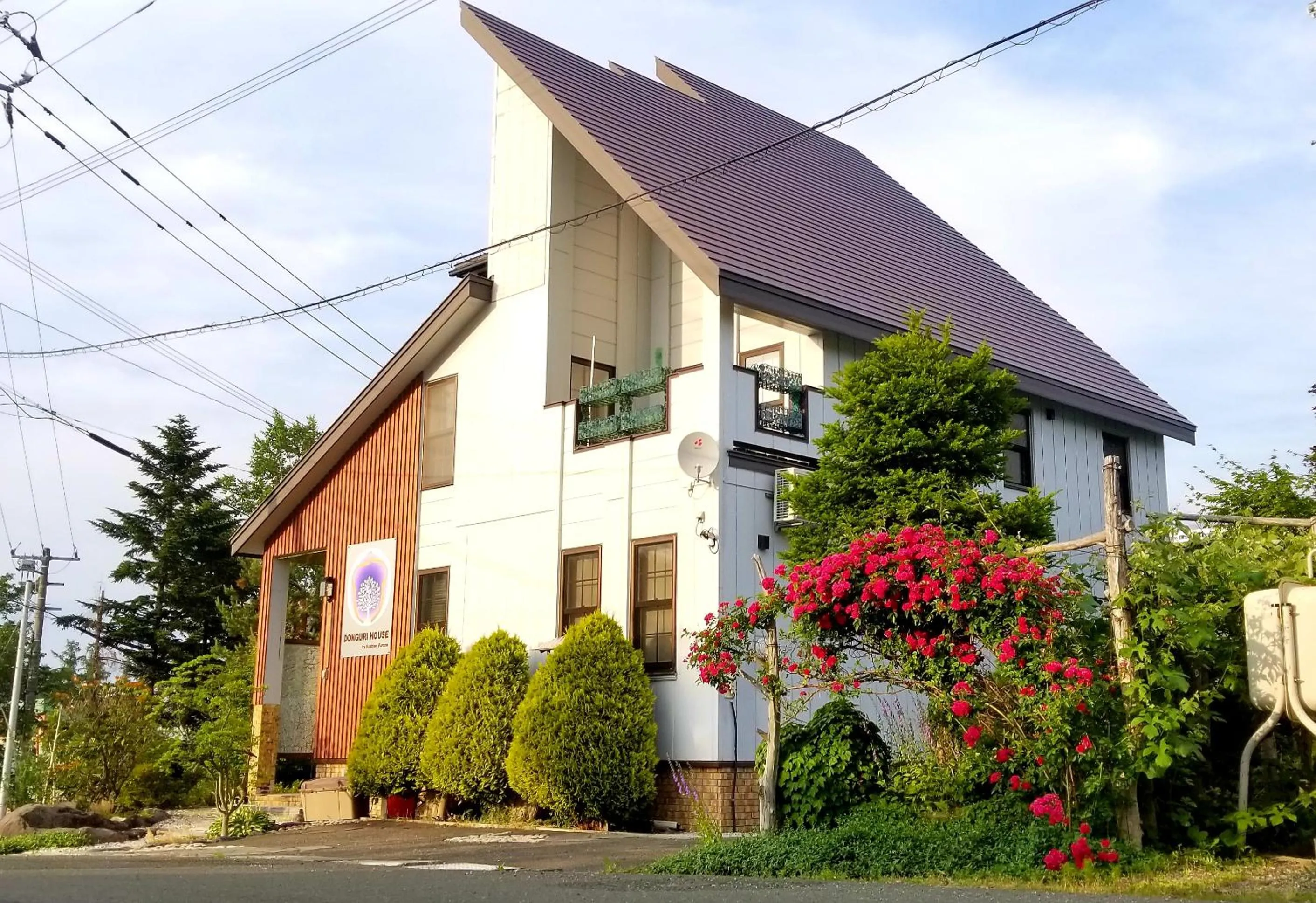 Property building in Donguri House