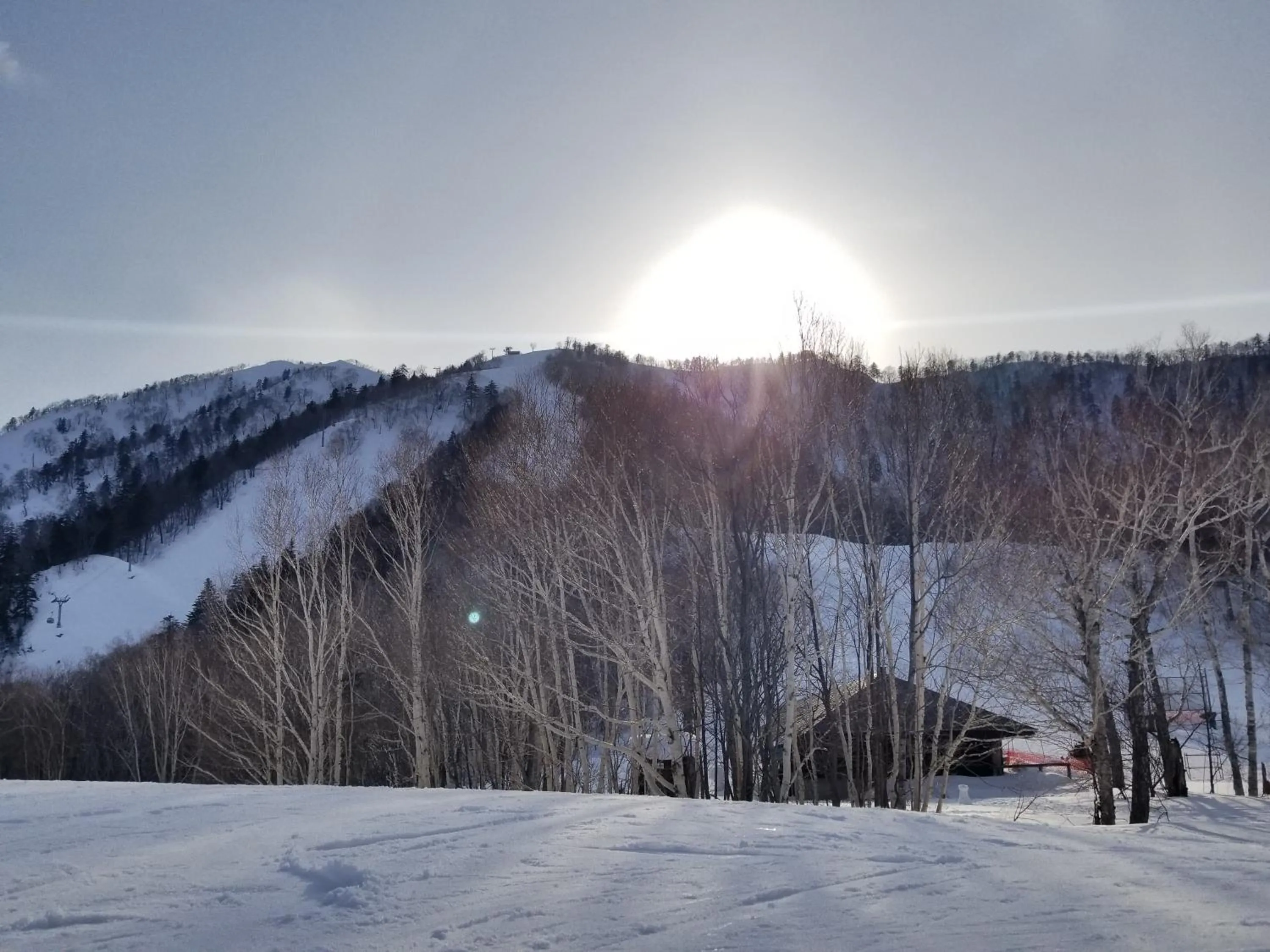 Winter in Donguri House