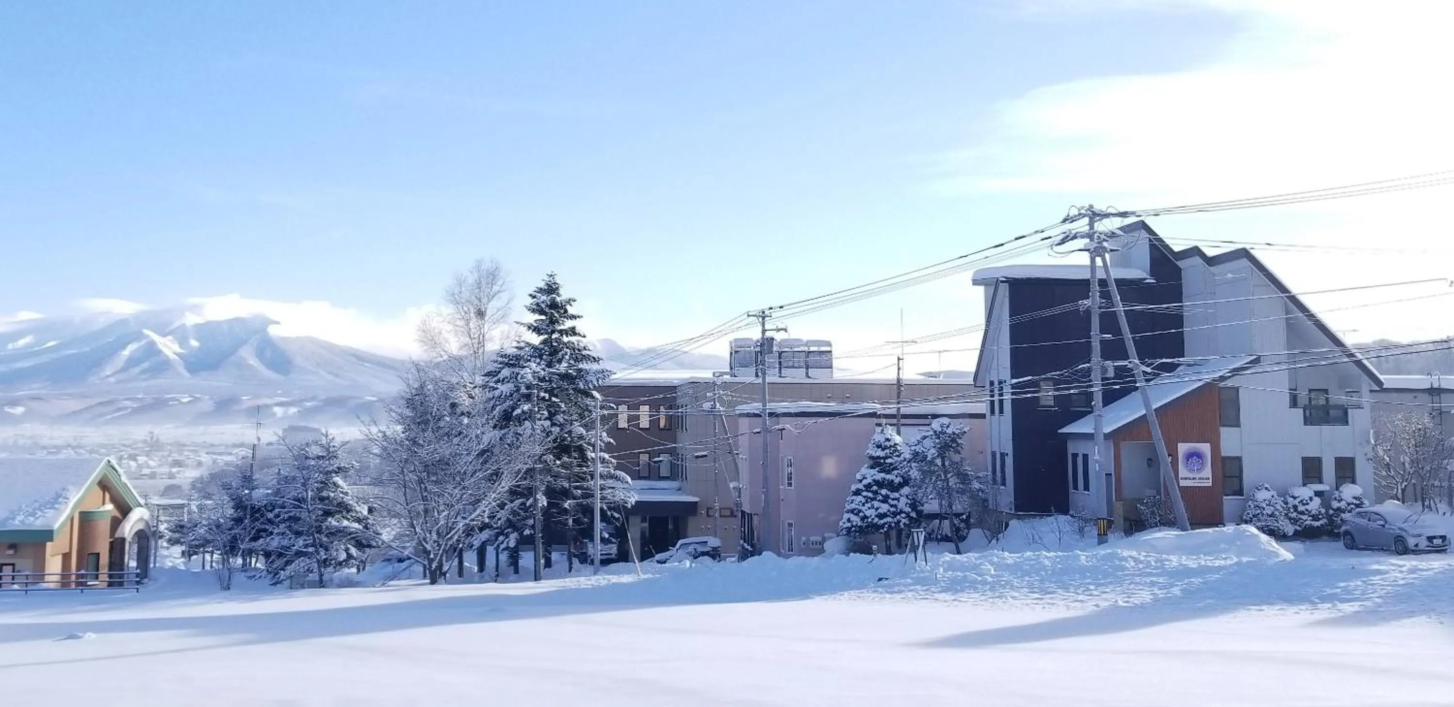 Property building in Donguri House