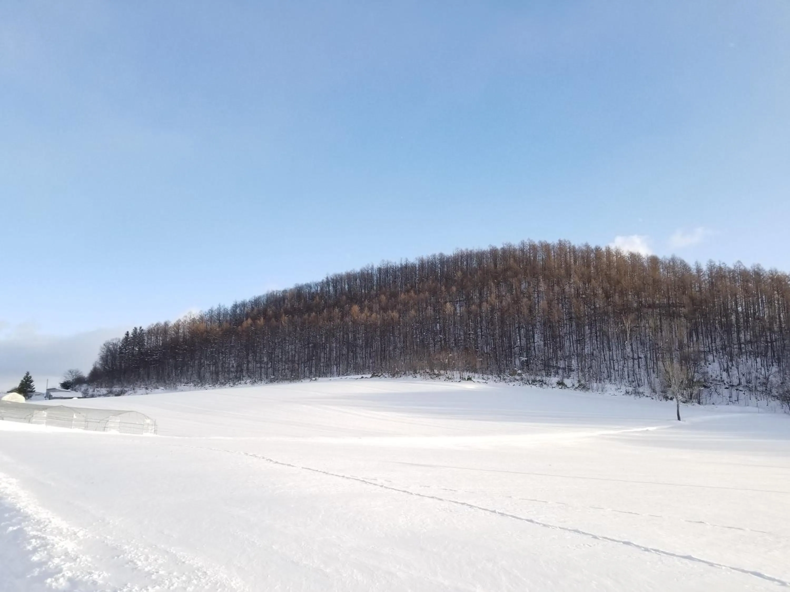 Natural landscape in Donguri House