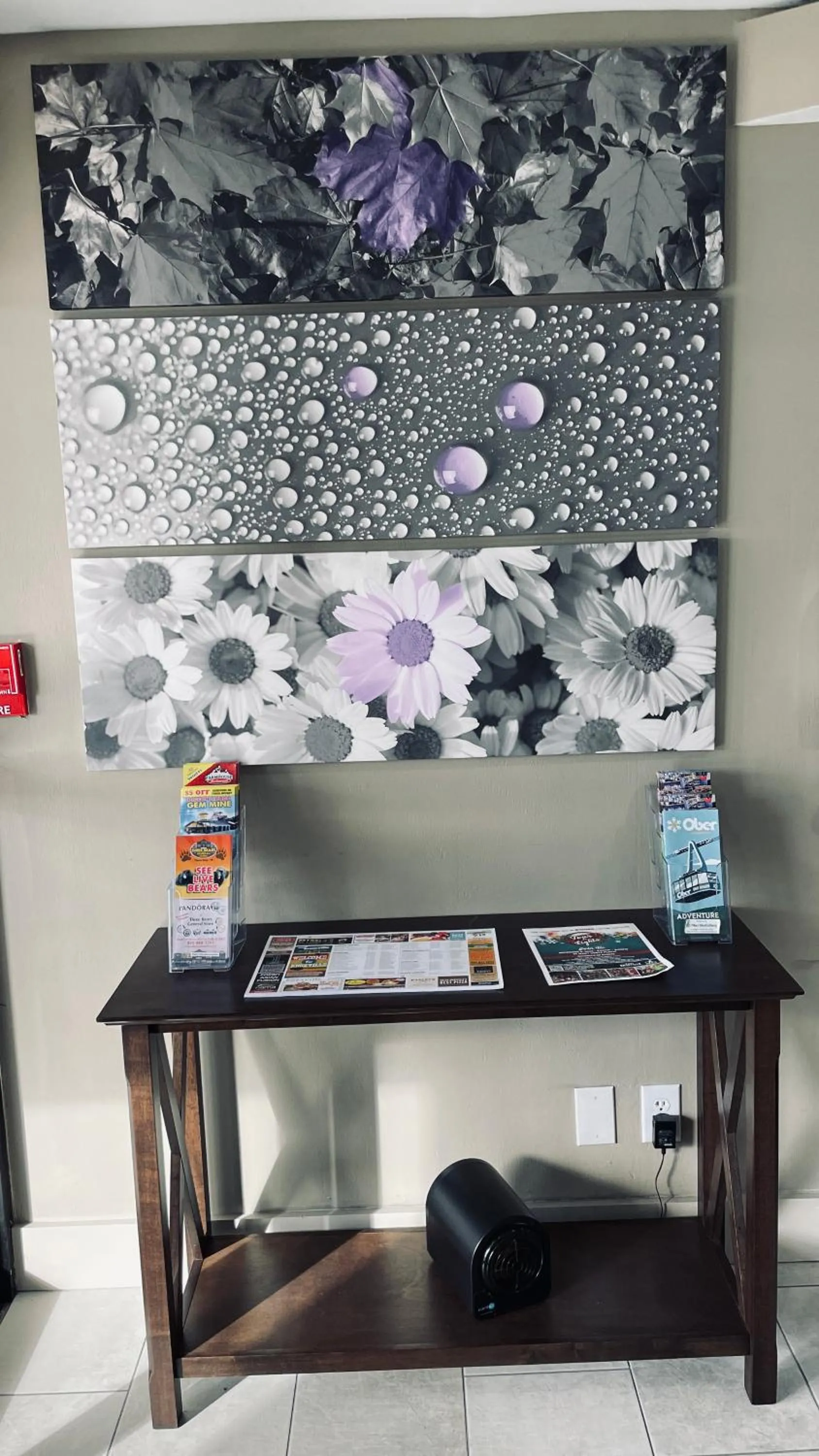 Business facilities in Sleep Inn & Suites West Knoxville