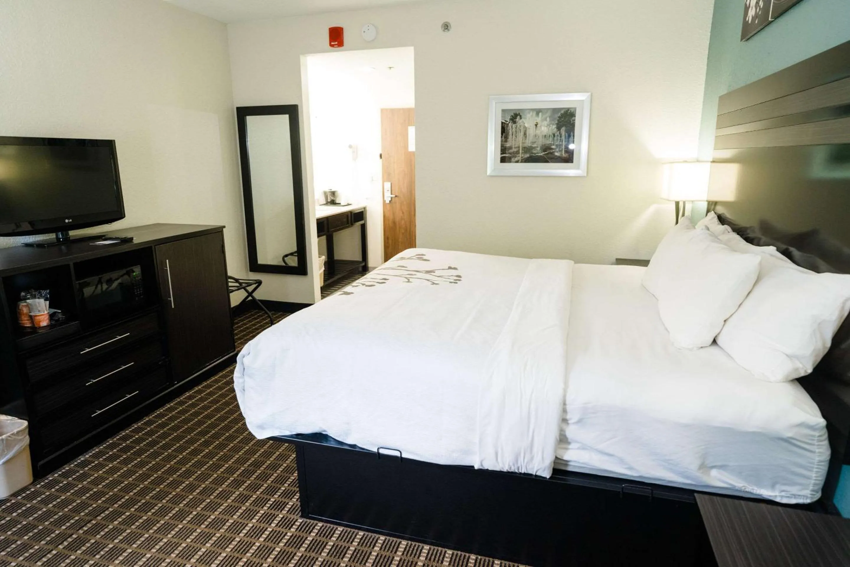 Bedroom, Bed in Sleep Inn & Suites West Knoxville