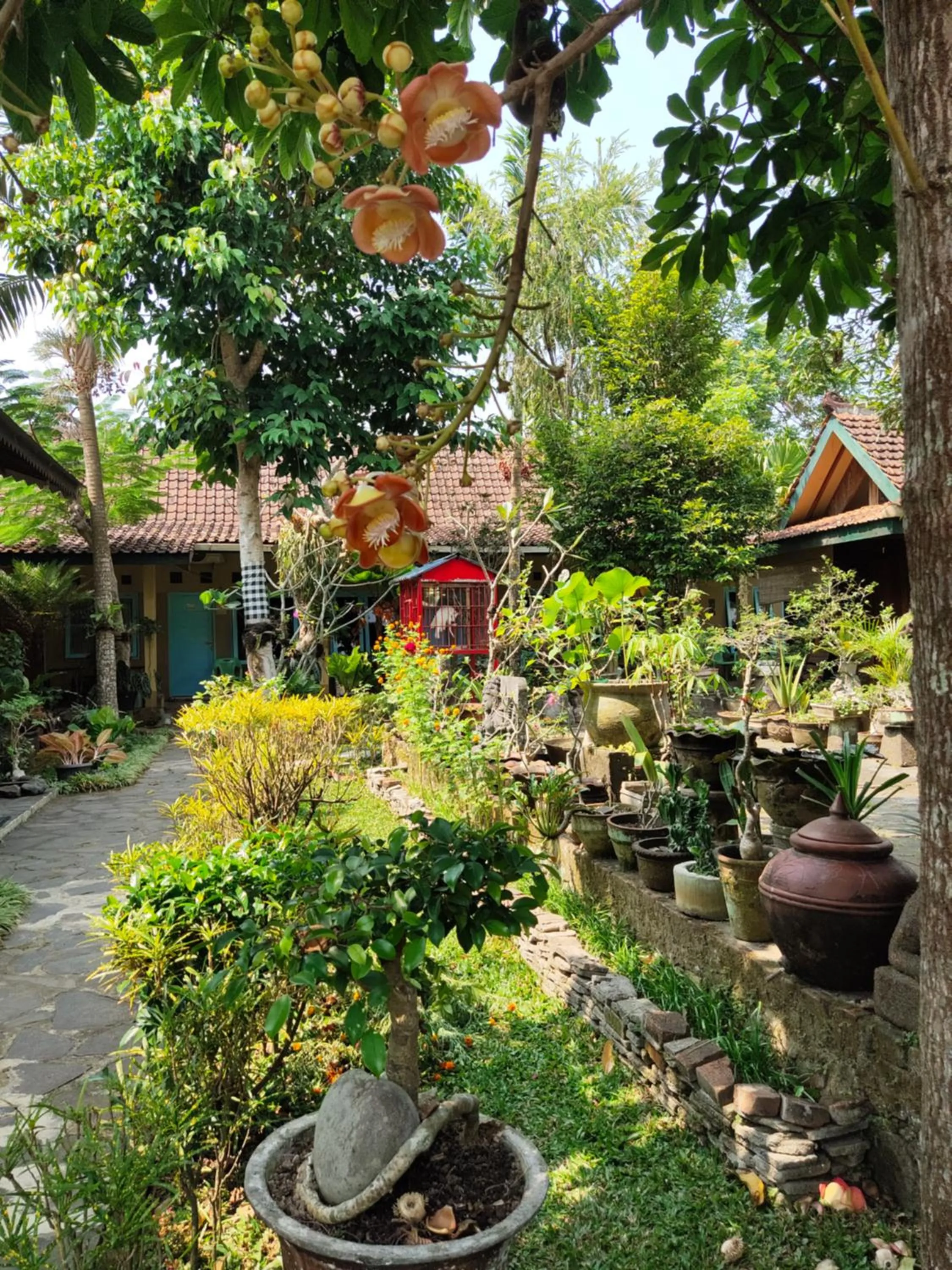 Mettaloka Guesthouse