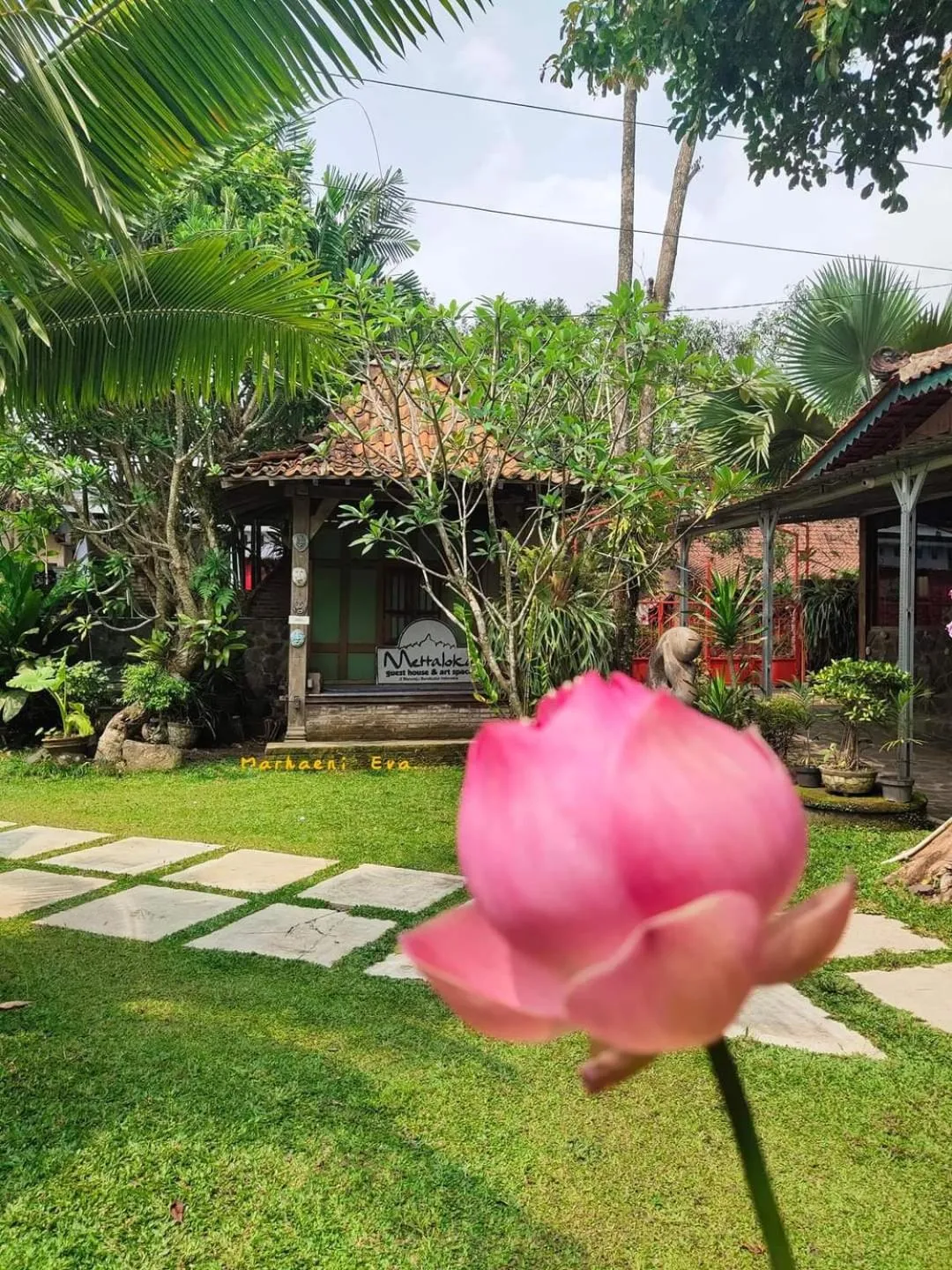 Garden in Mettaloka Guesthouse
