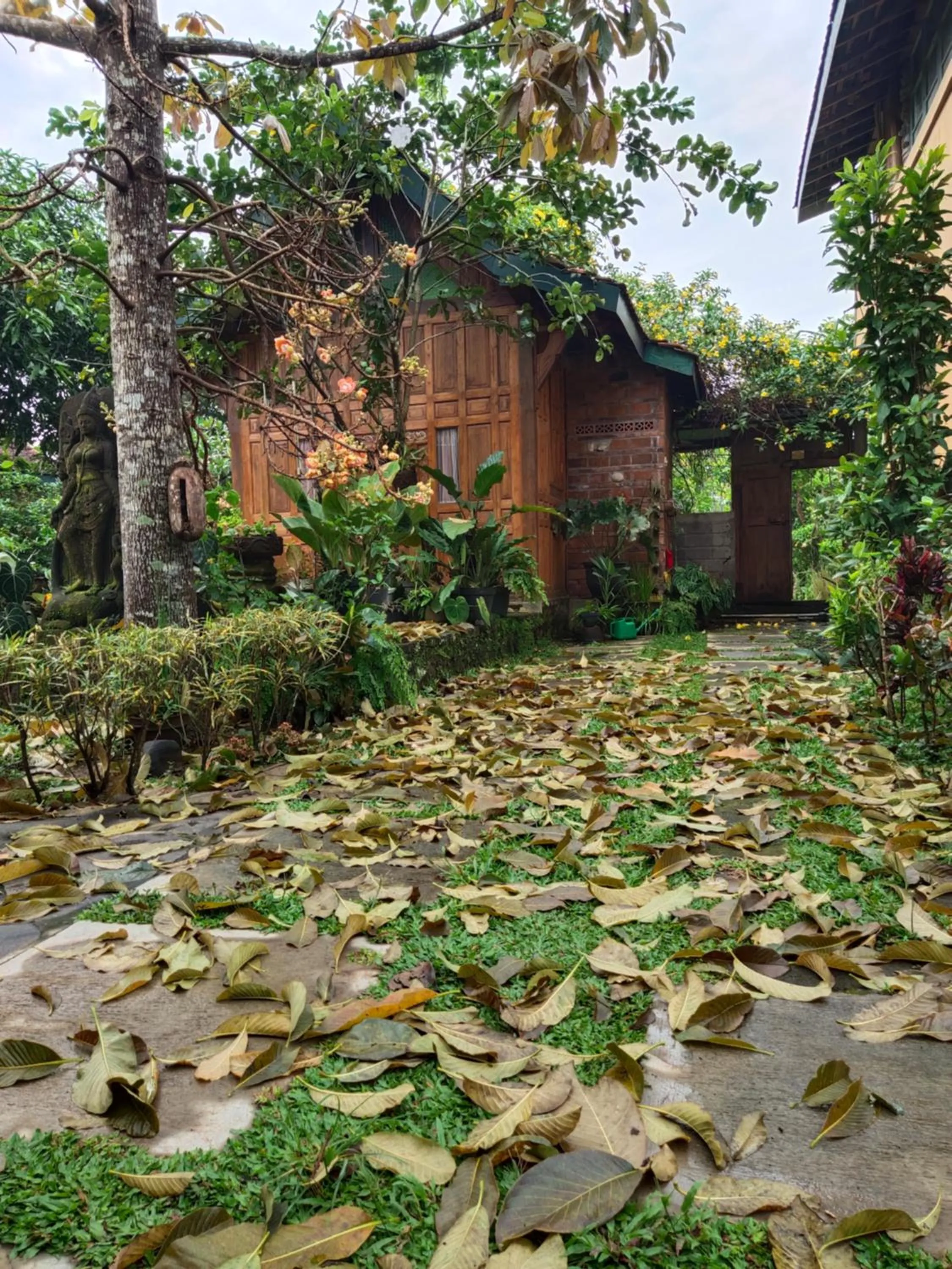 Mettaloka Guesthouse