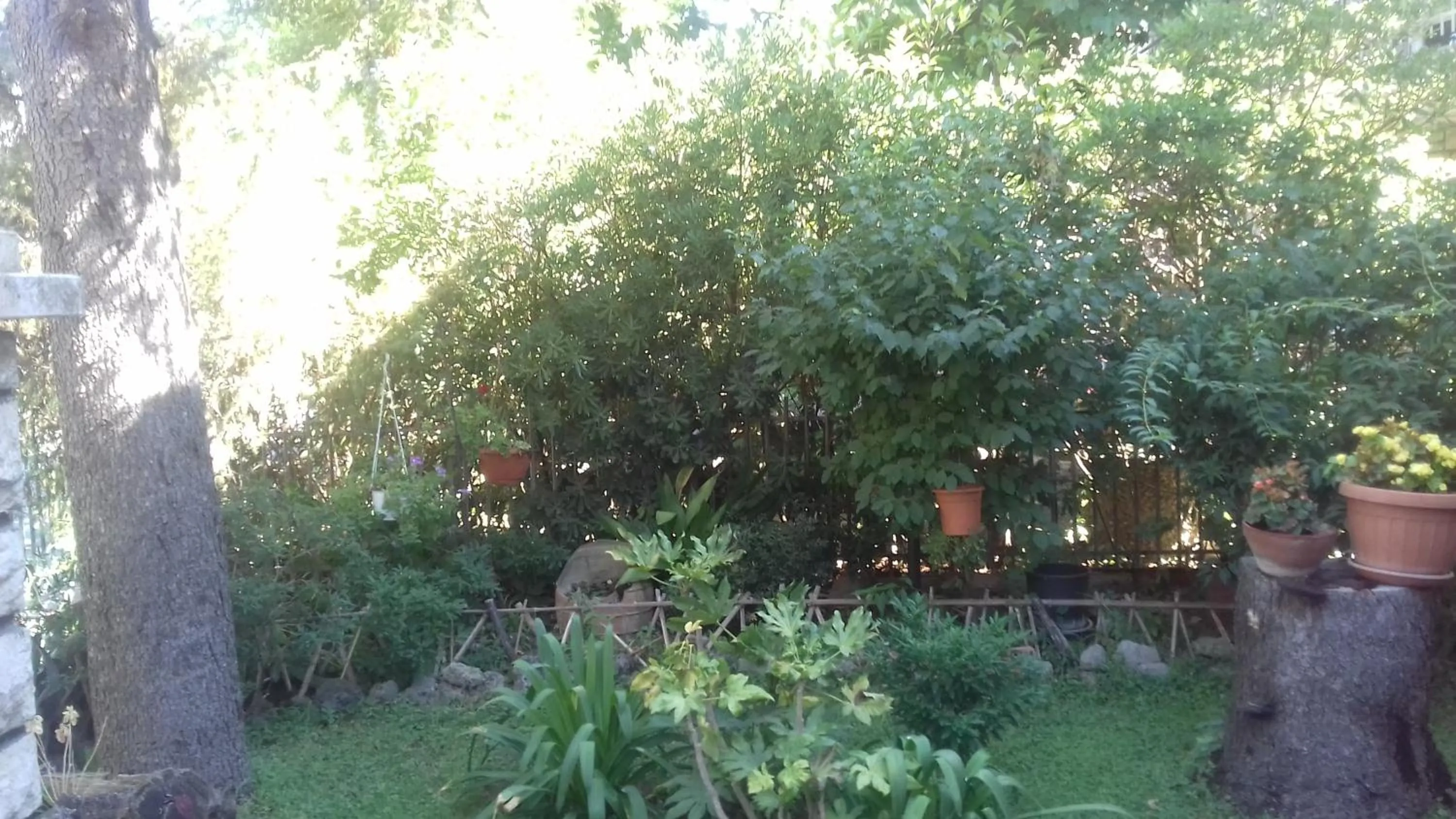 La Casetta Dei Cedri