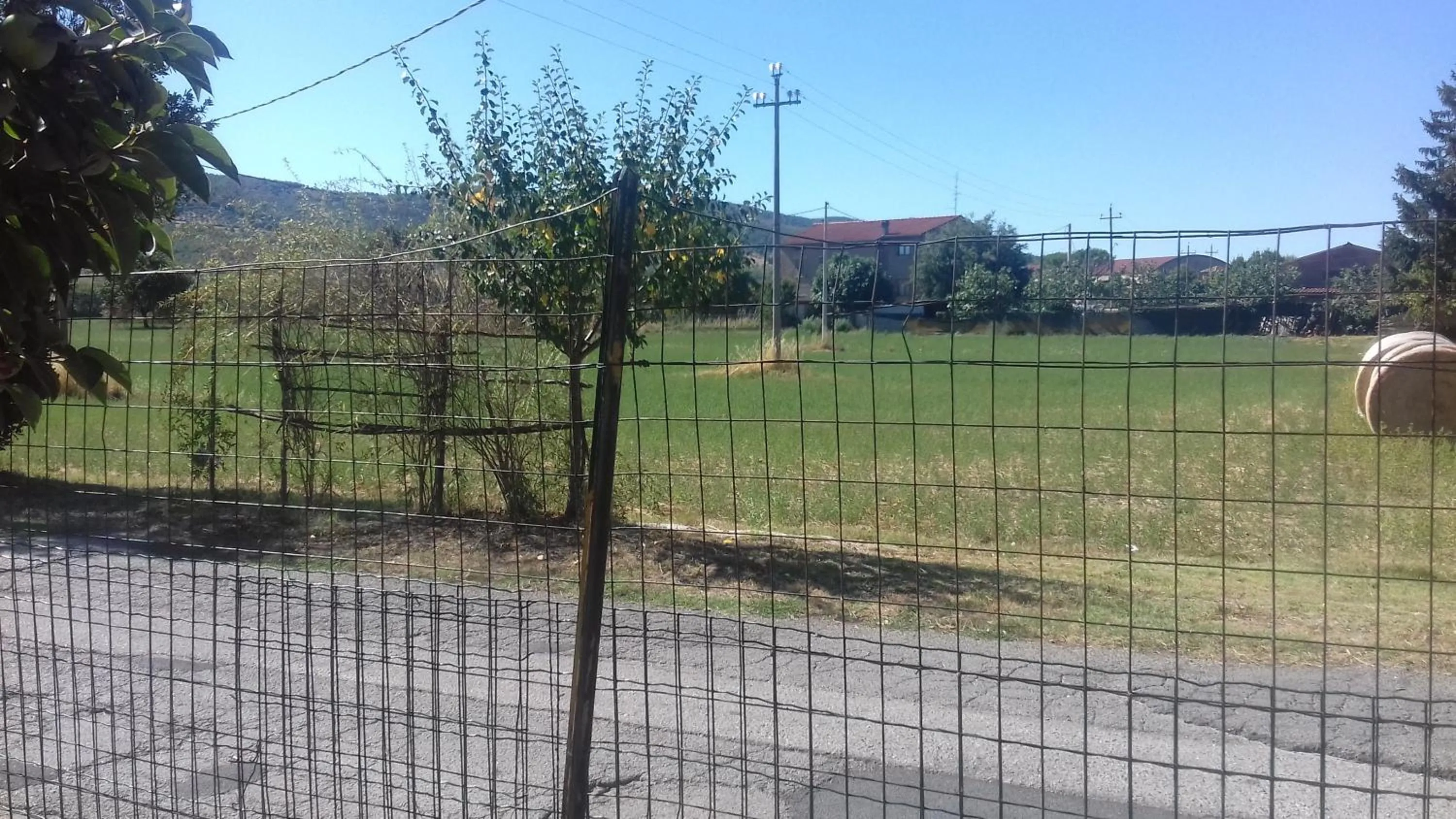 View (from property/room) in La Casetta Dei Cedri