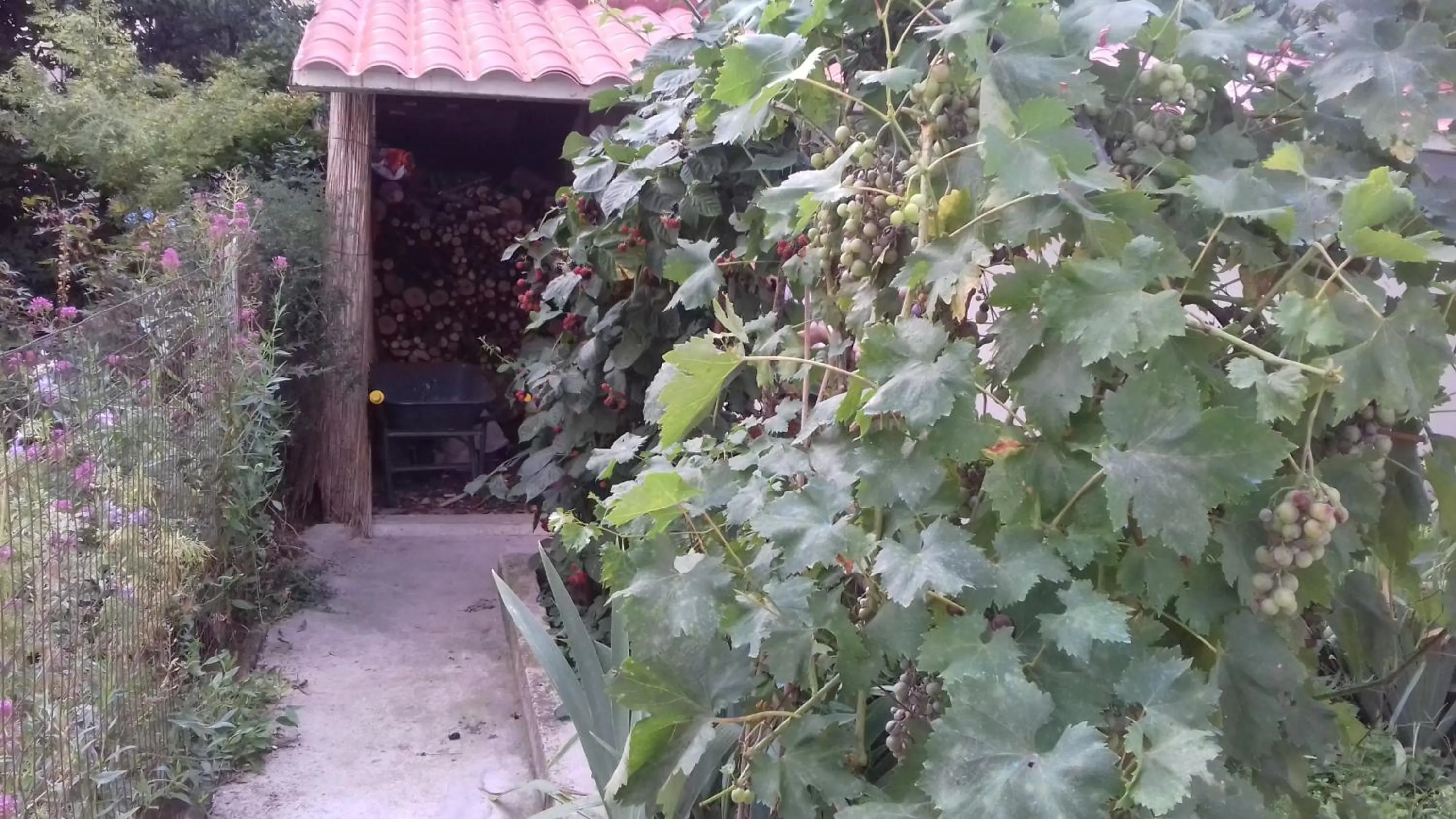 On site in La Casetta Dei Cedri