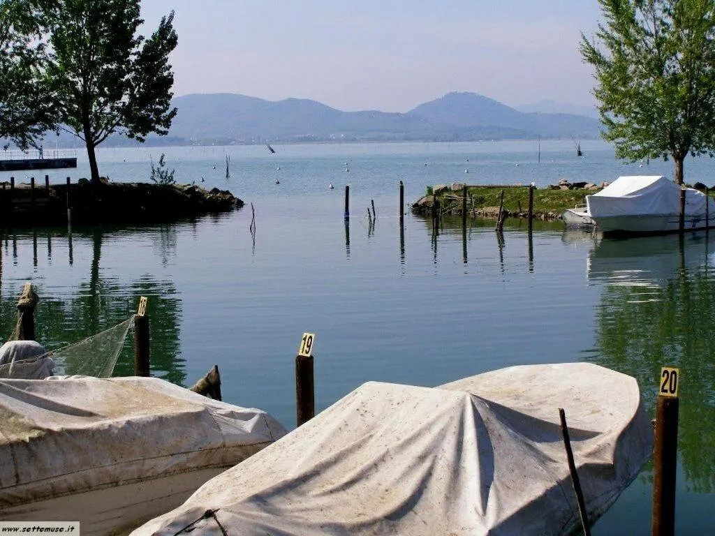 Natural landscape in La Casetta Dei Cedri