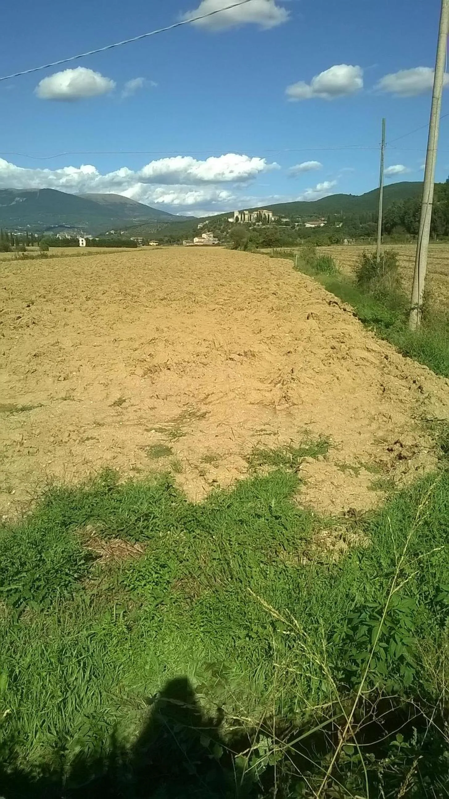 Activities in La Casetta Dei Cedri