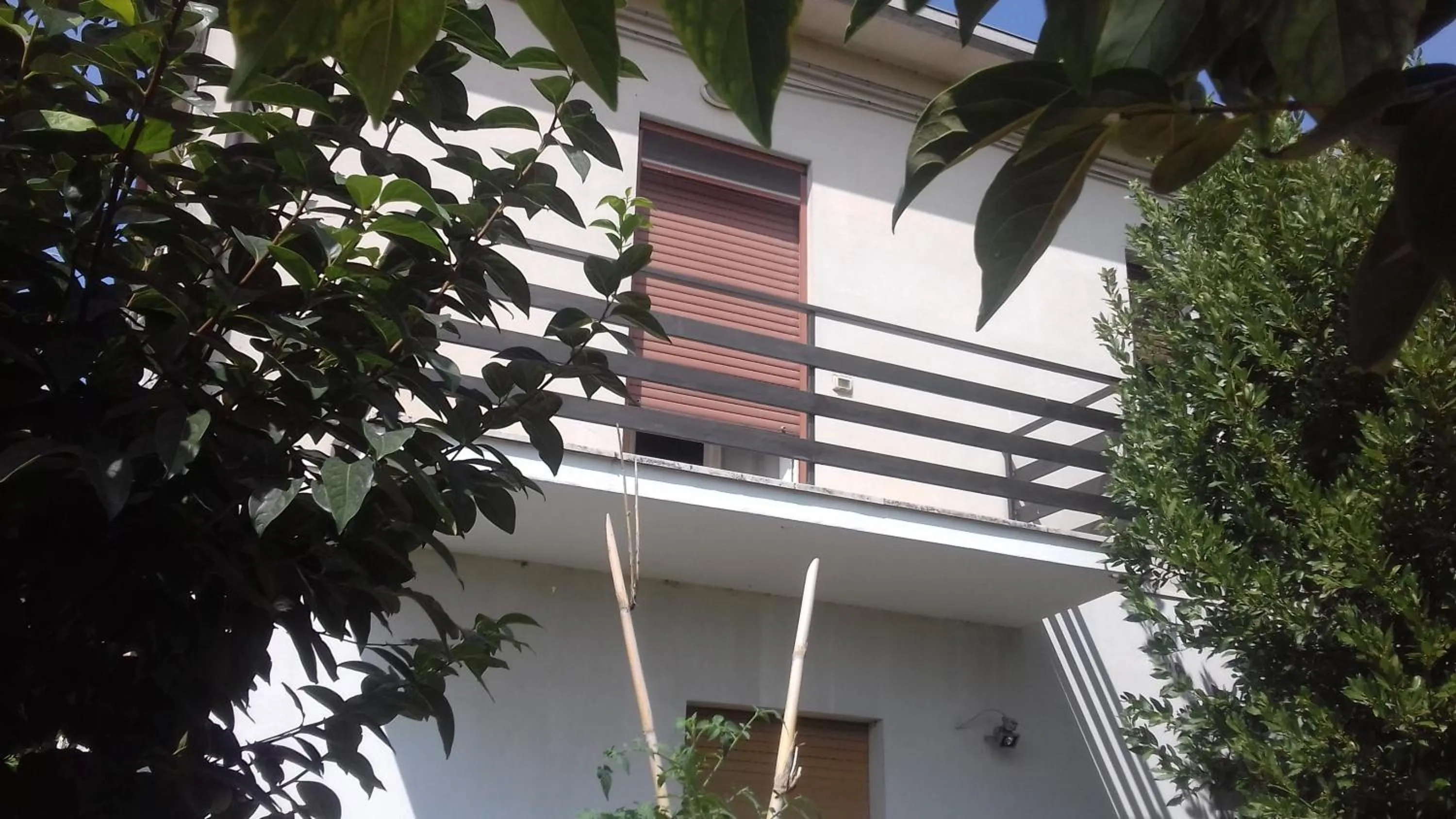 Garden view in La Casetta Dei Cedri