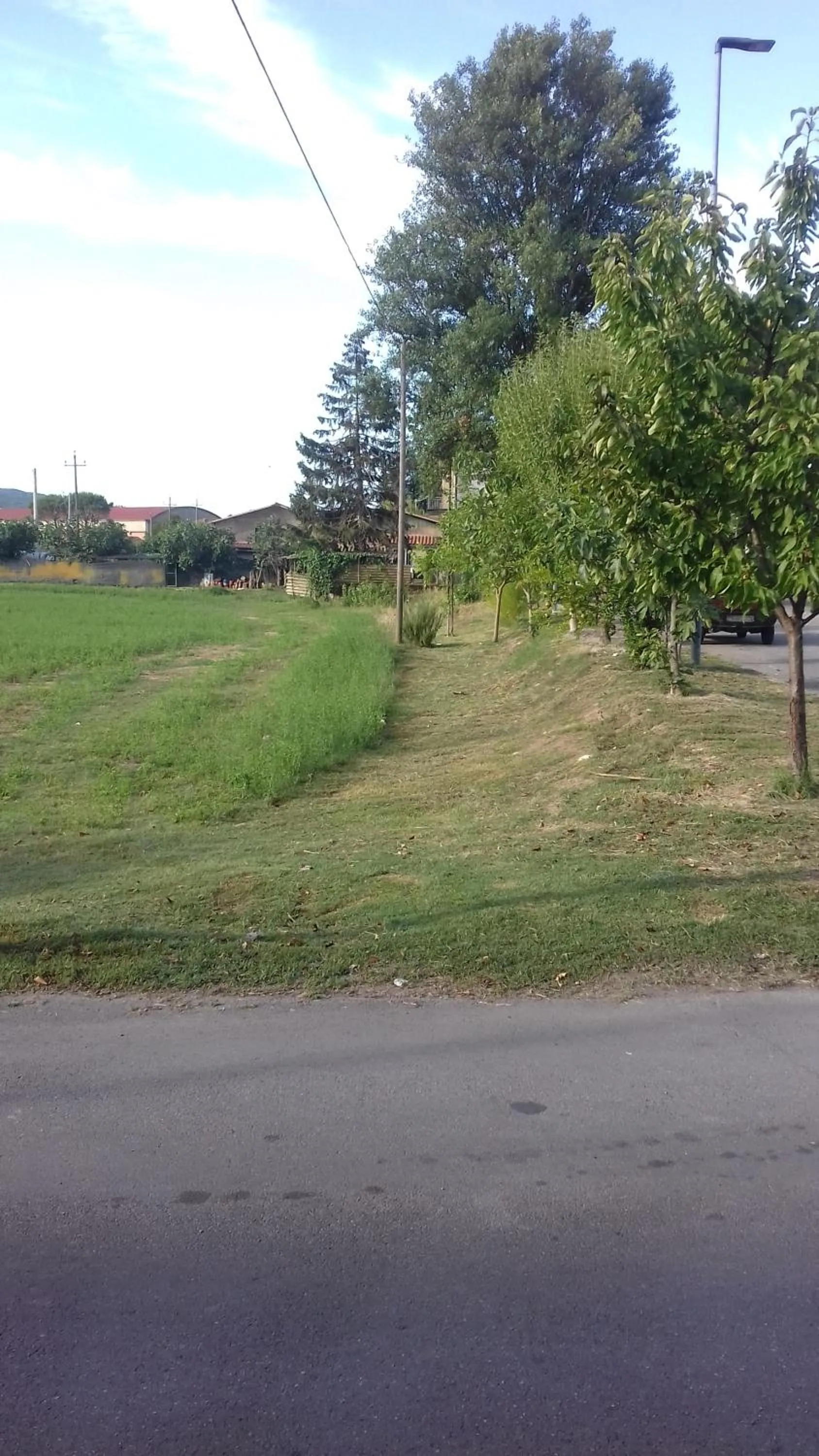 Natural landscape in La Casetta Dei Cedri