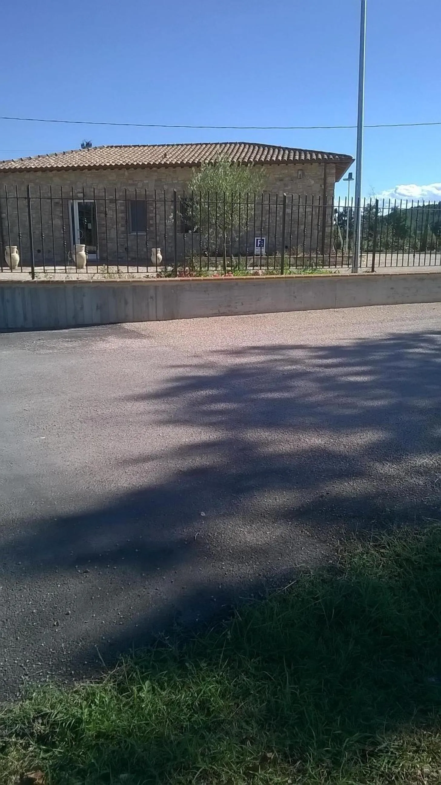 Activities in La Casetta Dei Cedri