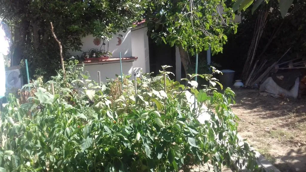 Decorative detail in La Casetta Dei Cedri